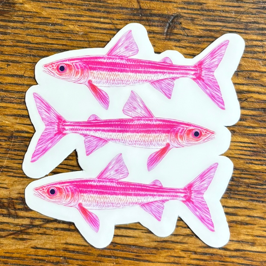 Pink Sardines Sticker