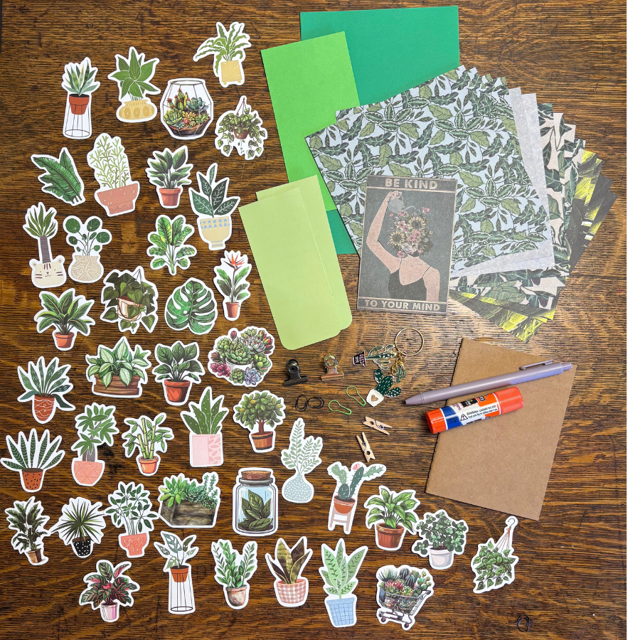 Houseplant Scrap Pack