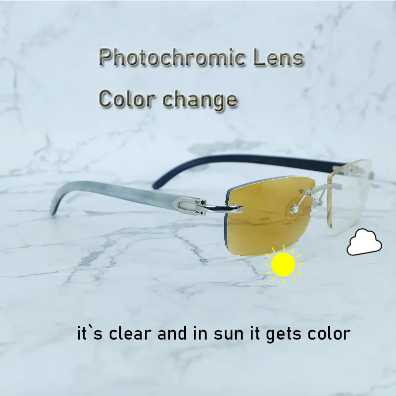 Photochromic Marble Carti White and Black Buffs (Brown Tint)