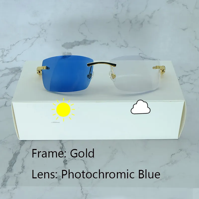 Photochromic Carti All Black Buffs (Blue Tint)