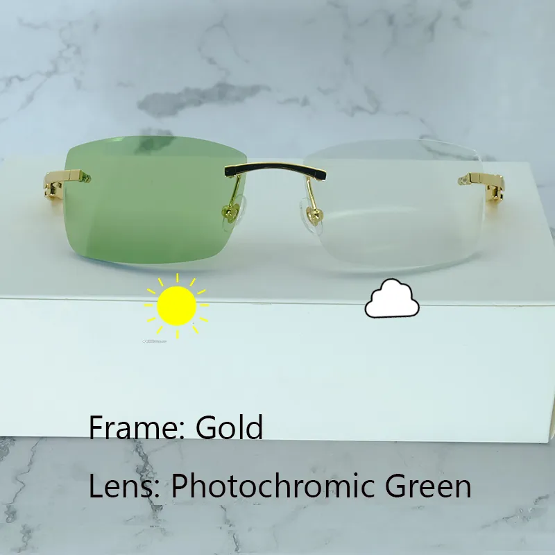 Photochromic Marble Carti White and Black Buffs (Green Tint)