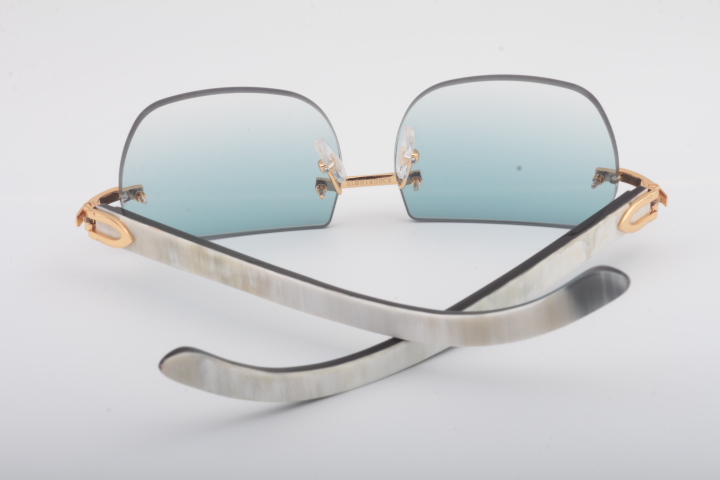 Carti White and Black Buffs 2 (Aqua Tint)