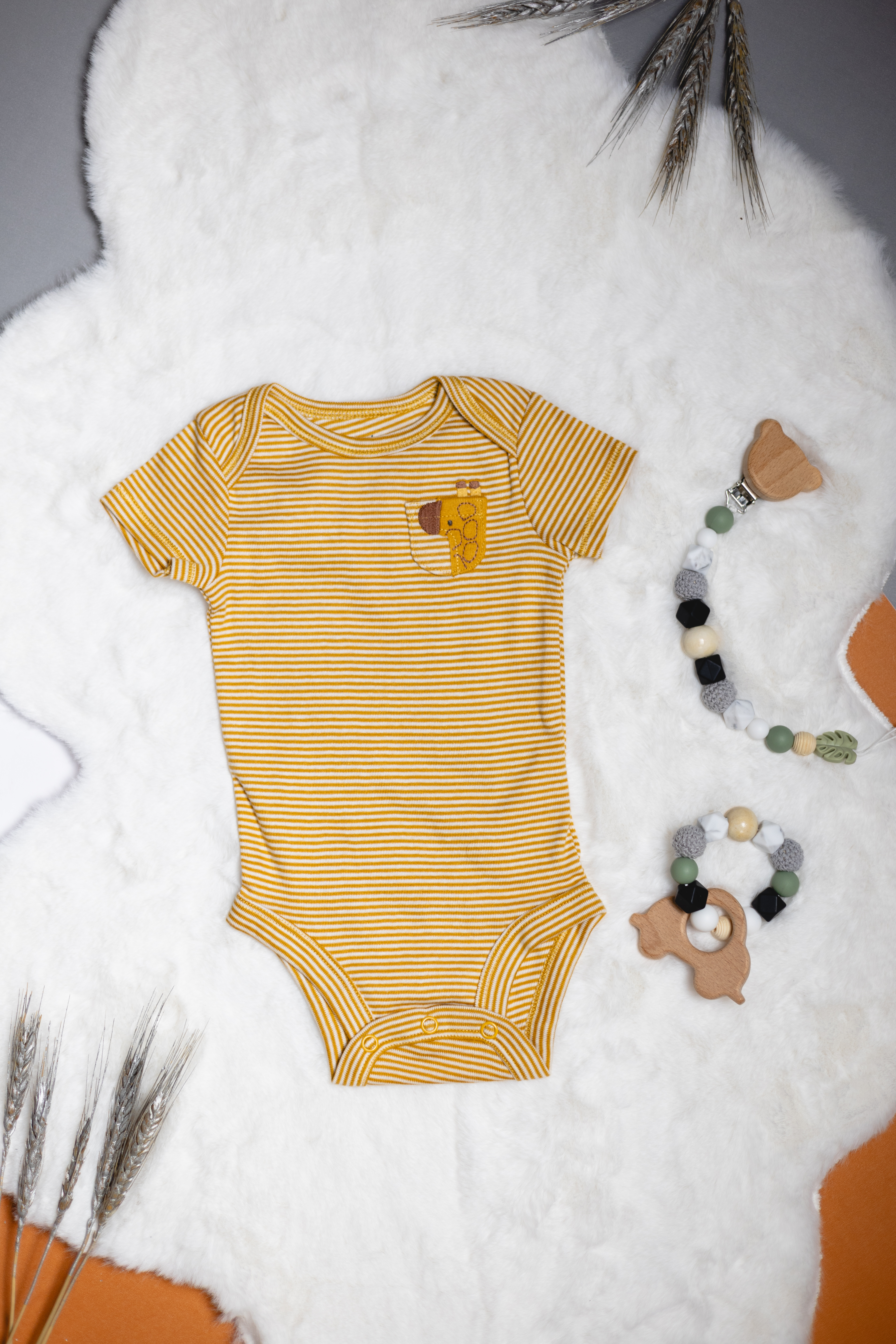 Set de 5 Bodysuits de Manga Corta