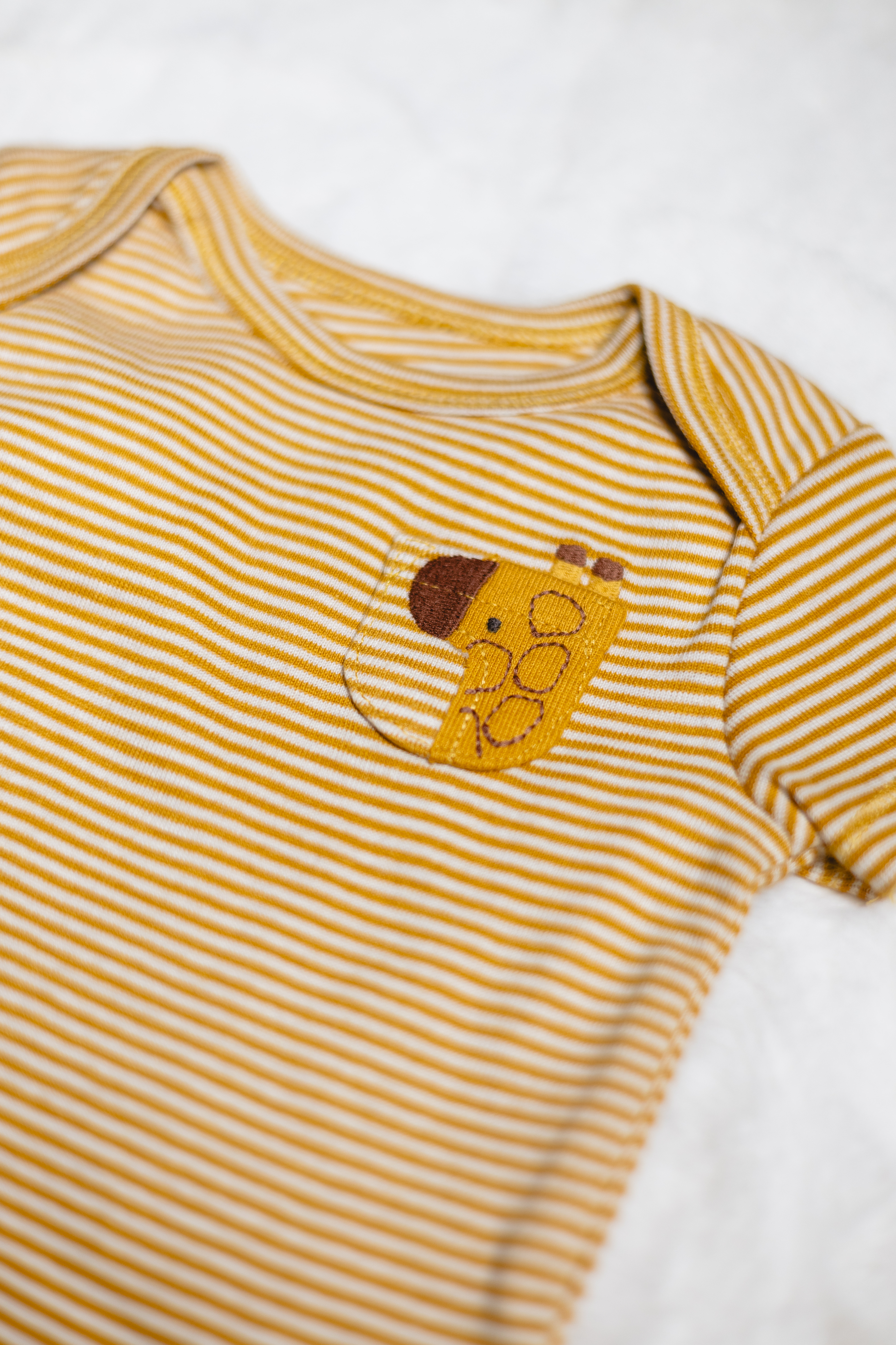 Set de 5 Bodysuits de Manga Corta