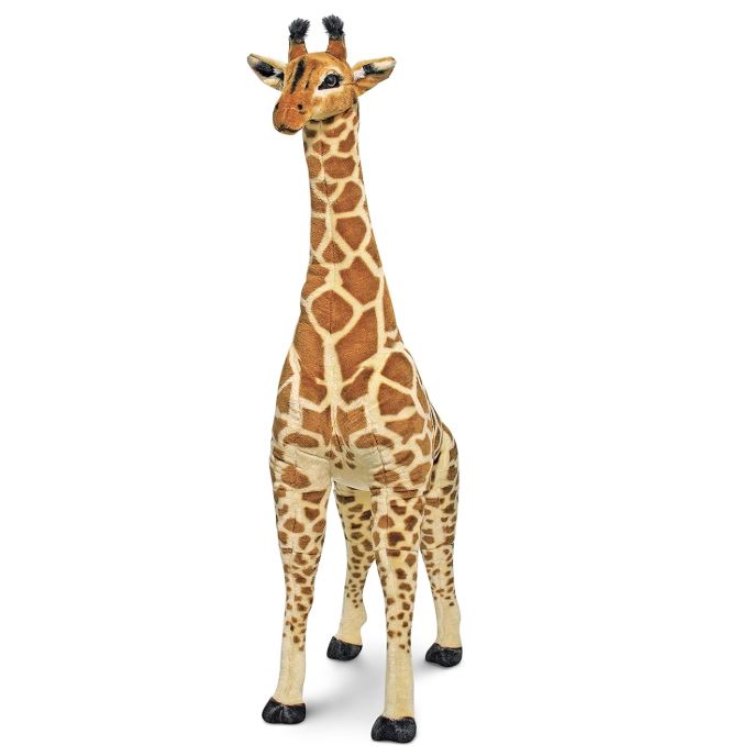 Friendly Sam The Giraffe