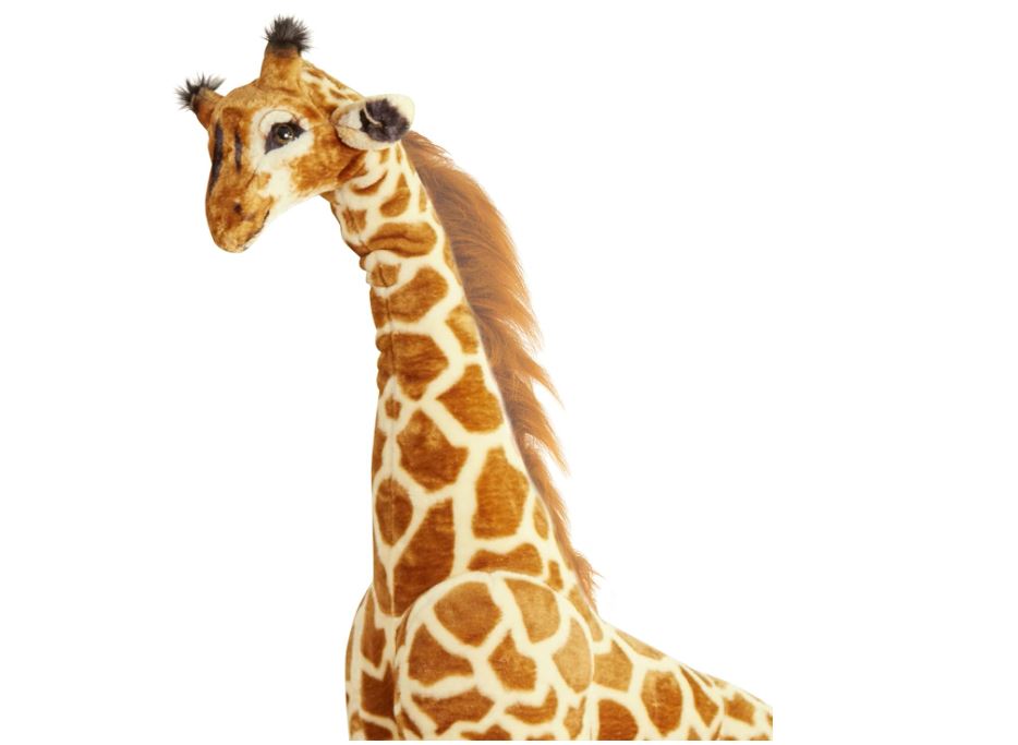 Friendly Sam The Giraffe