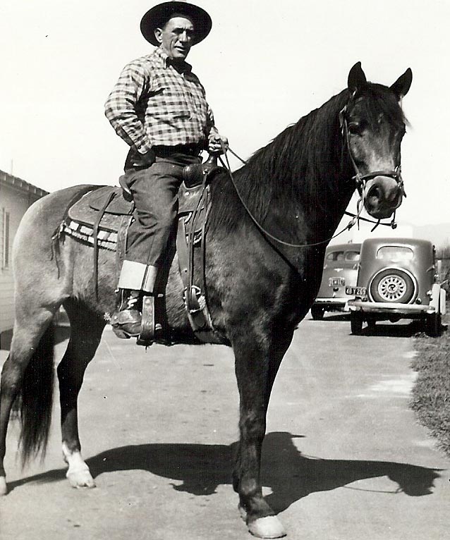 Cowboy Joe