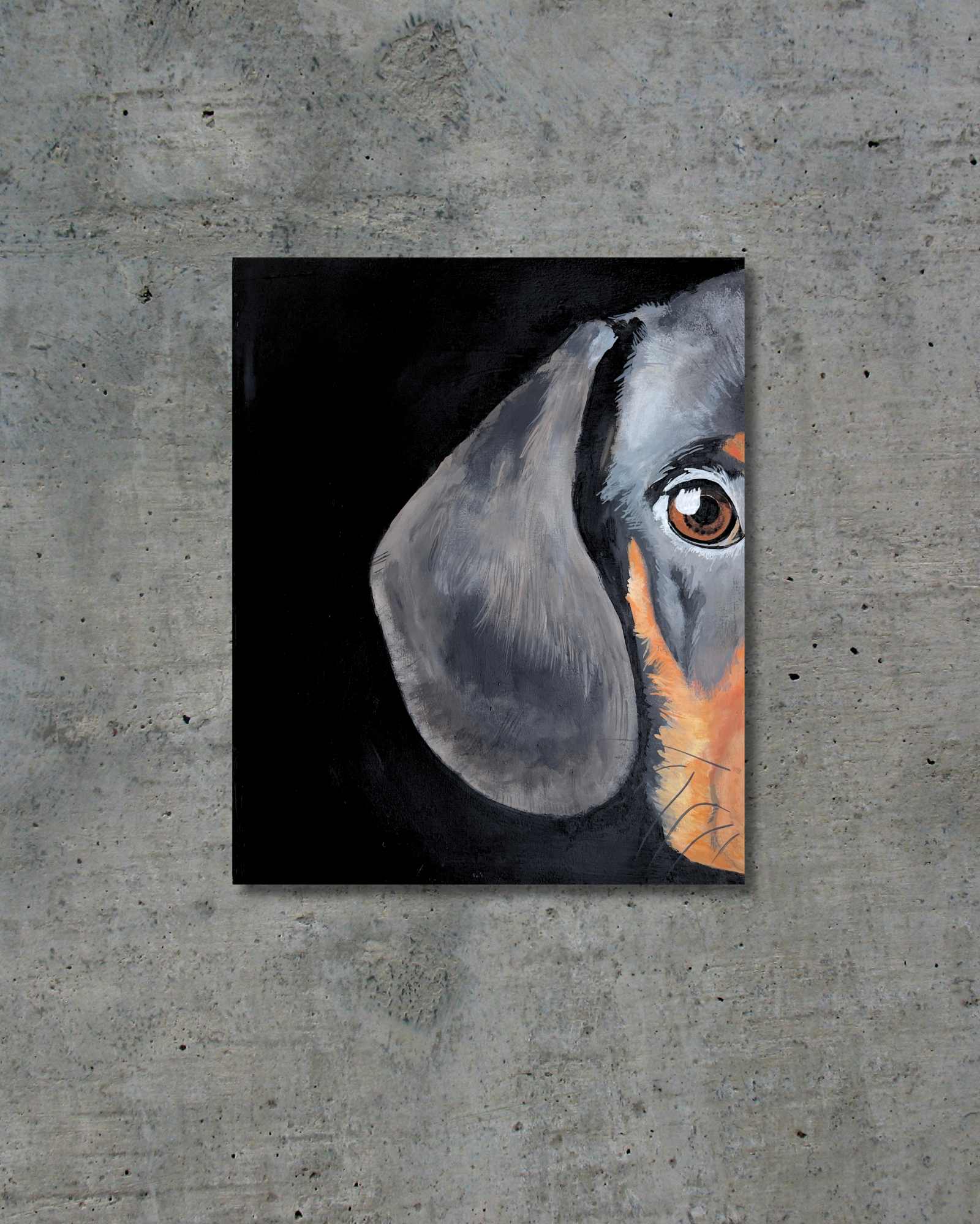 Dachshund