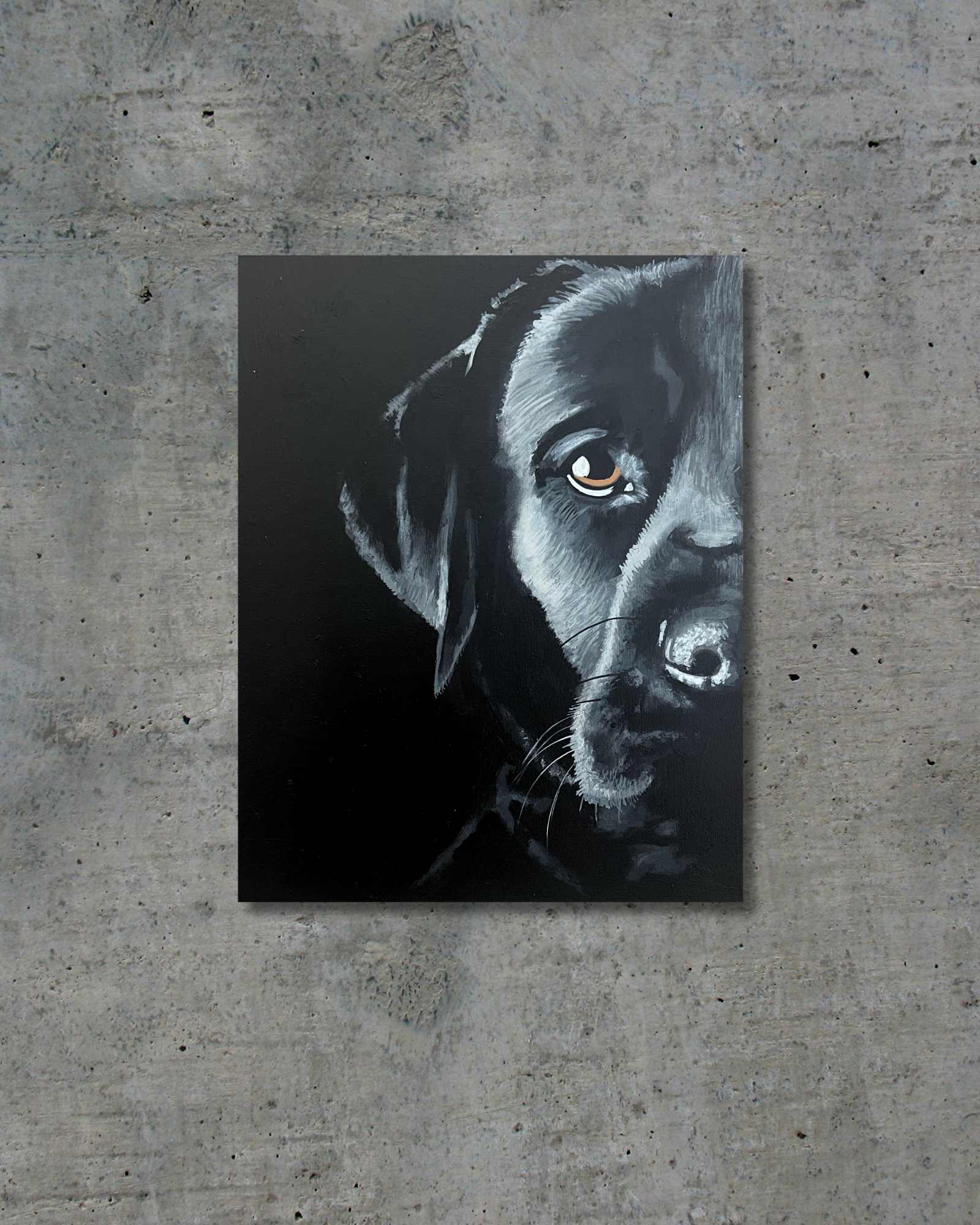 Labrador