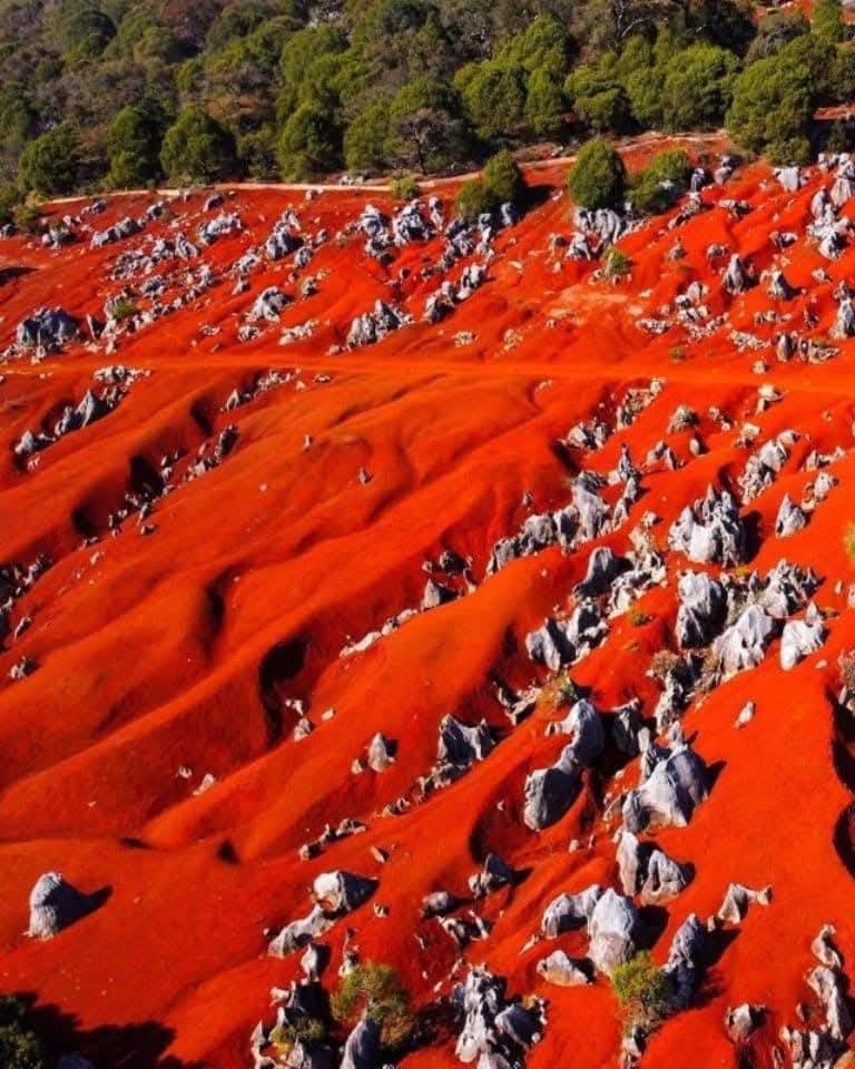 DUNAS ROJAS DE PACULA