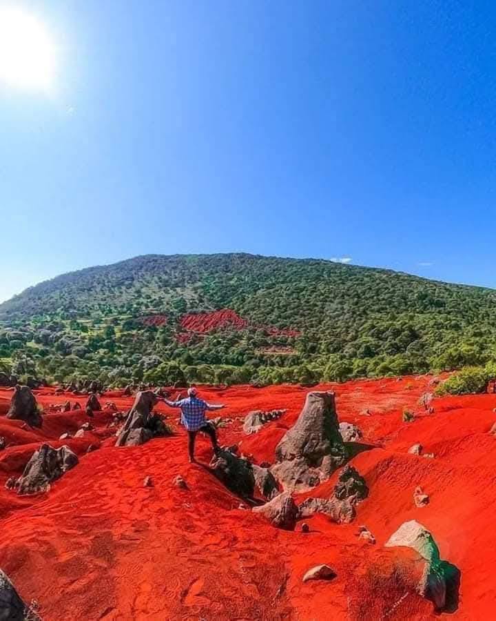 DUNAS ROJAS DE PACULA