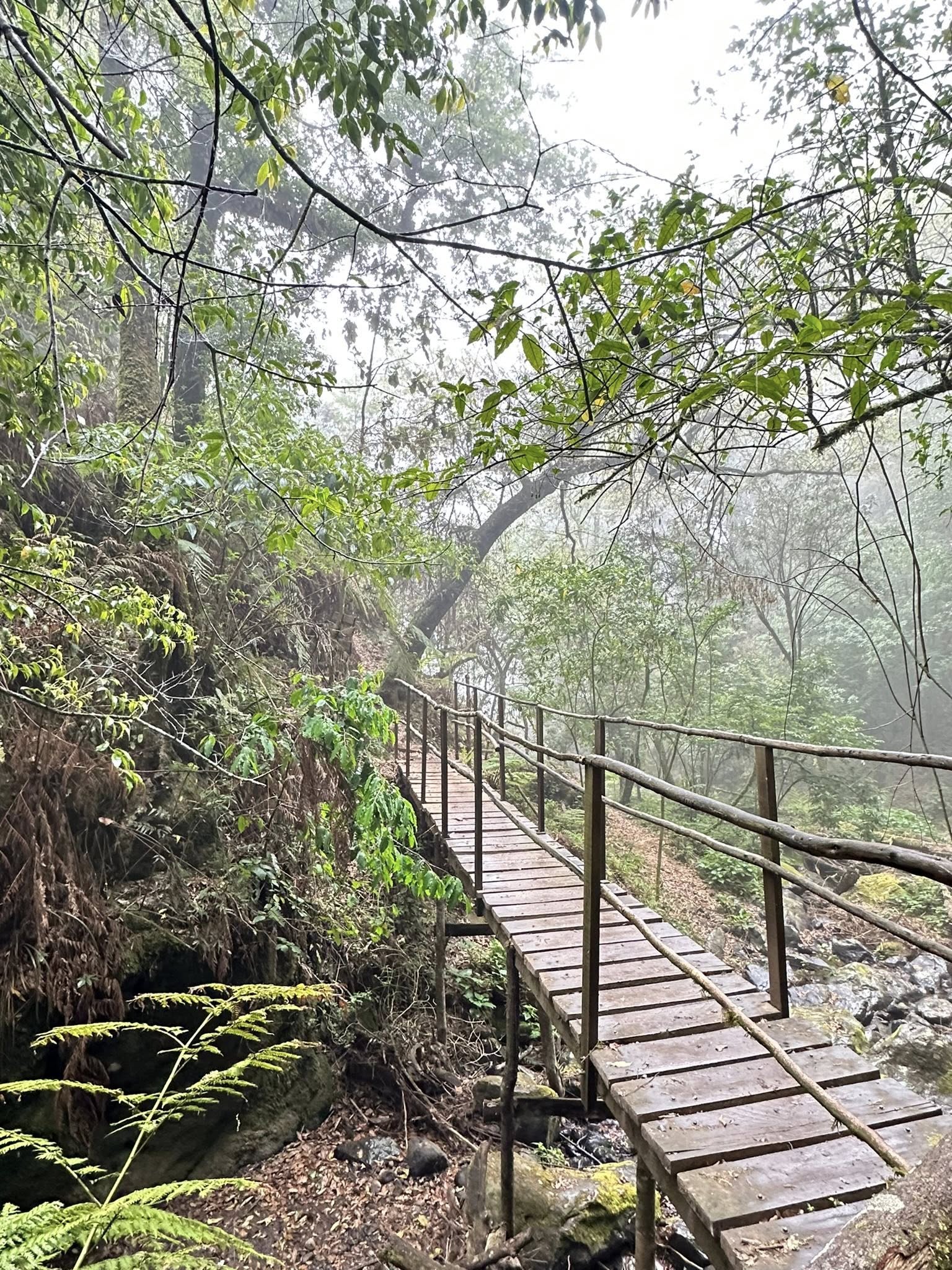 CASCADAS PARAISO EN HONEY
