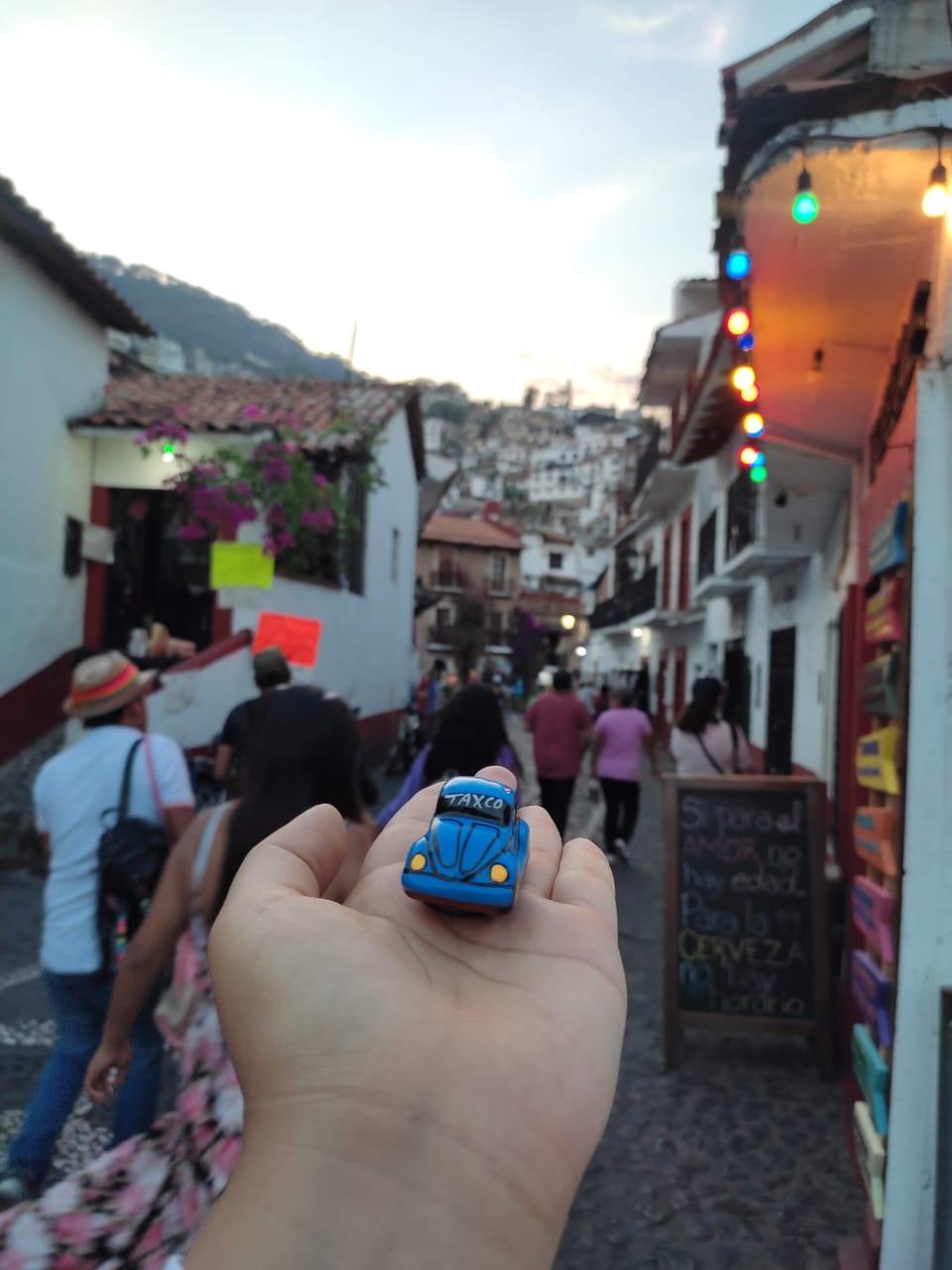 GRUTAS DE CACAHUAMILPA Y TAXCO