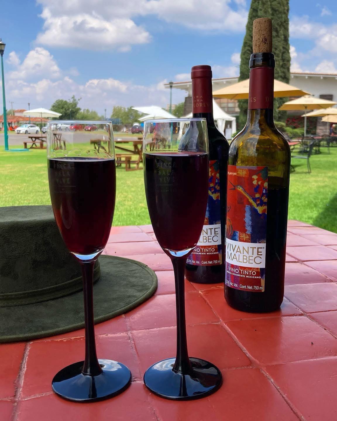 RUTA DEL VINO Y QUESO