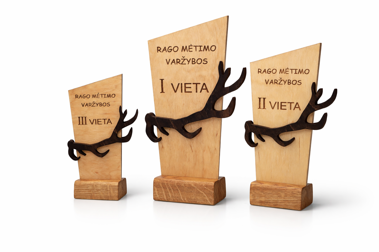 Apdovanojimas iš Medienos