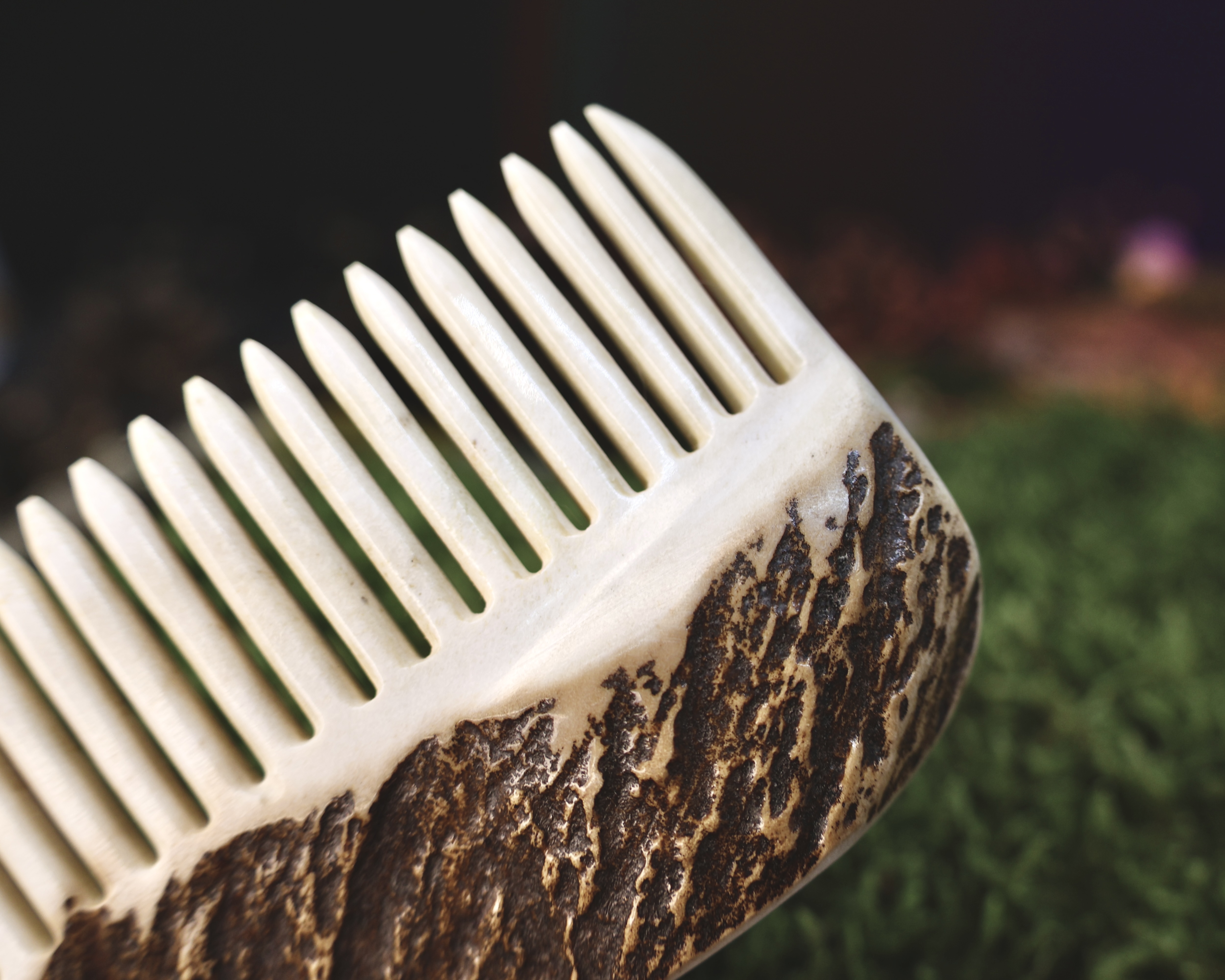 Briedžio Rago Šukos Nr.3