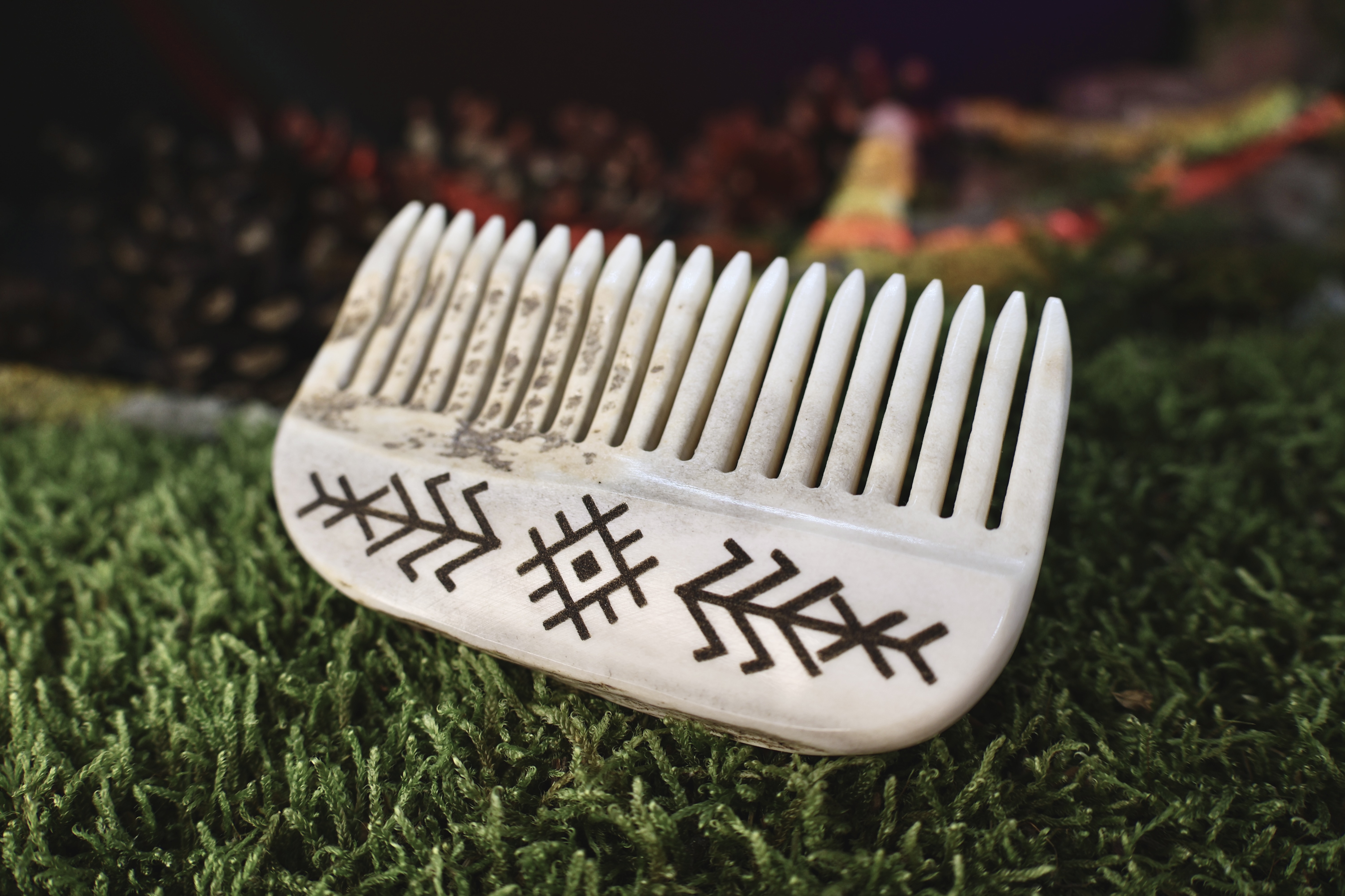 Briedžio Rago Šukos Nr.2