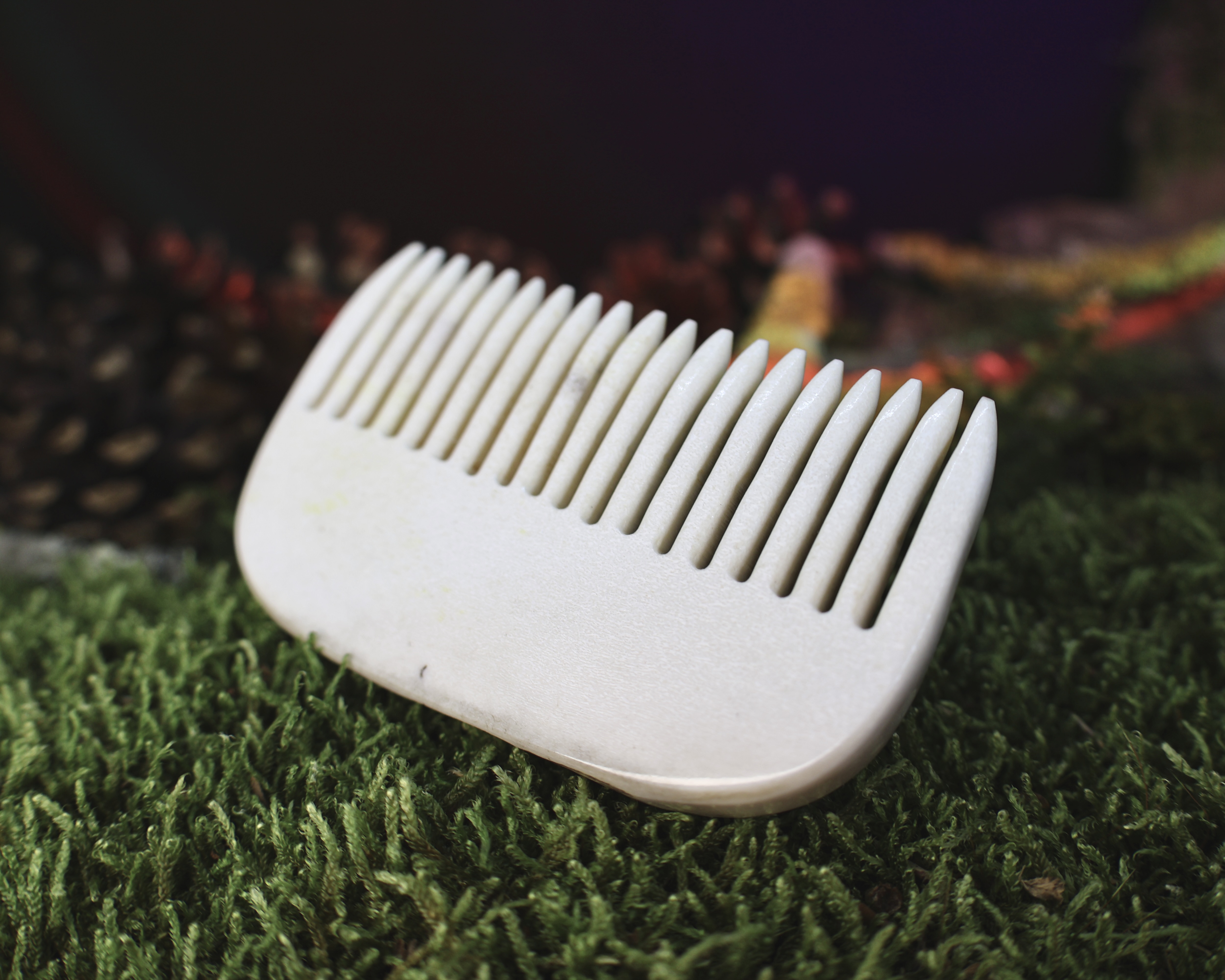 Briedžio Rago Šukos Nr.2