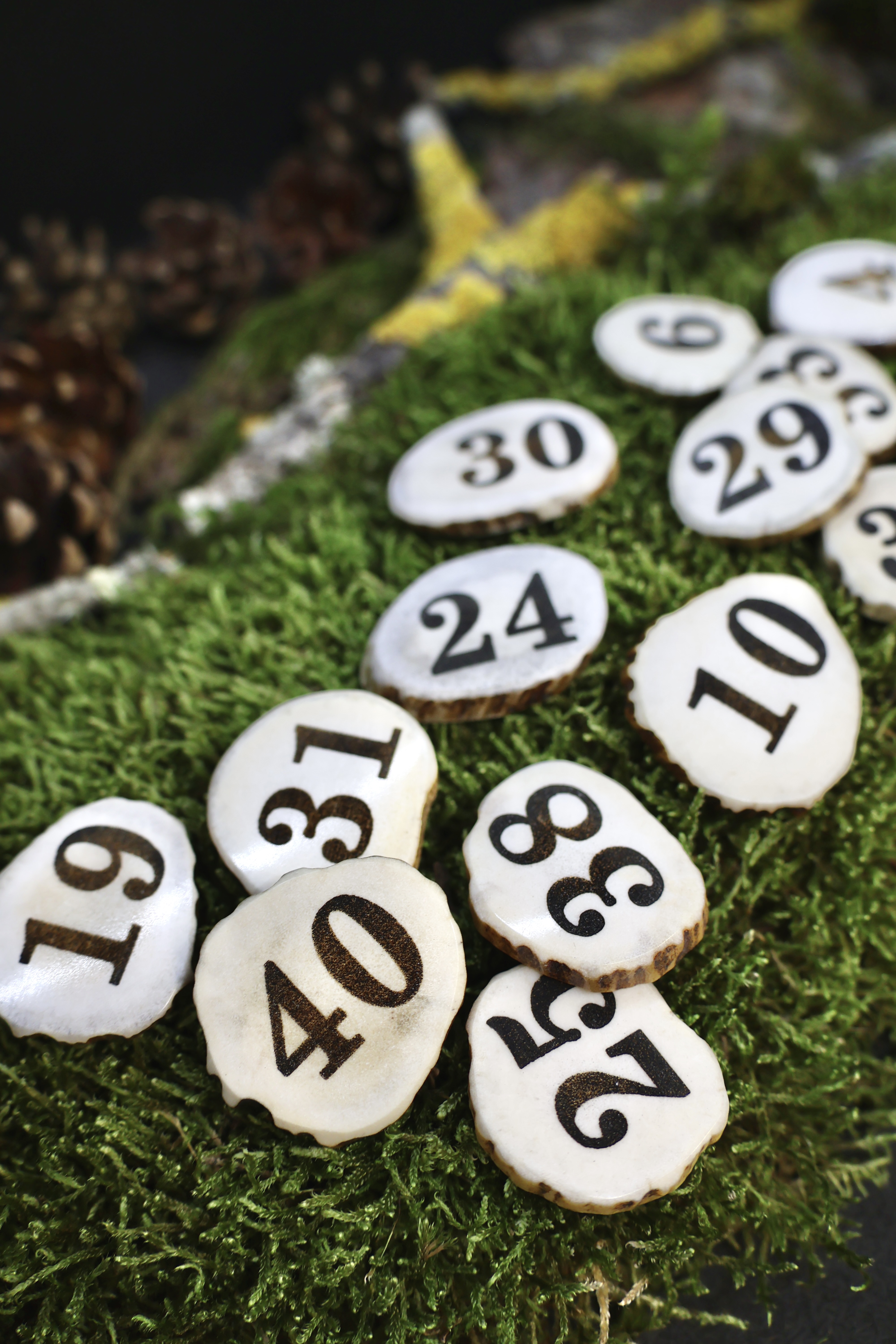 Briedžio Rago Žetonai Varominei Medžioklei 