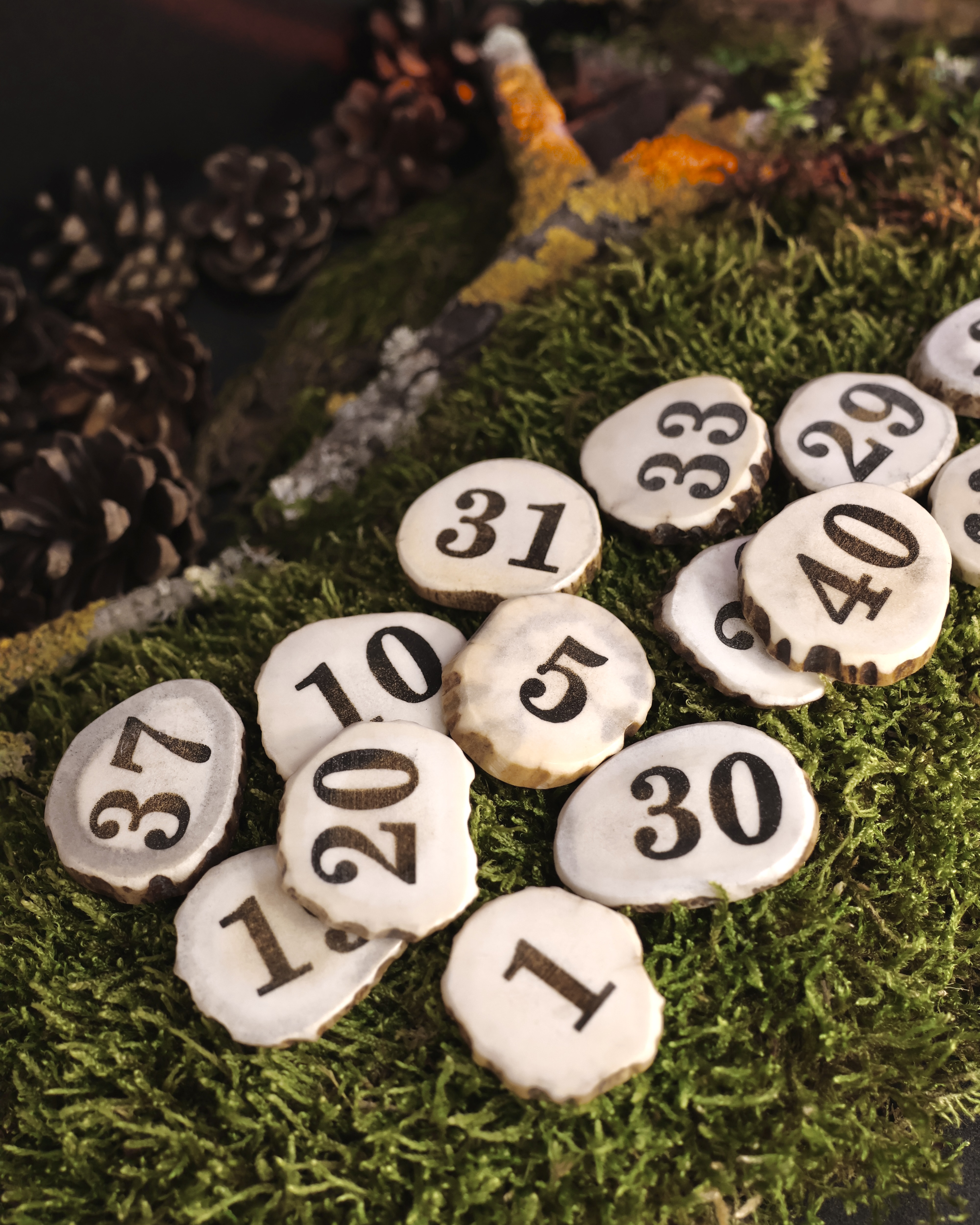 Briedžio Rago Žetonai Varominei Medžioklei 