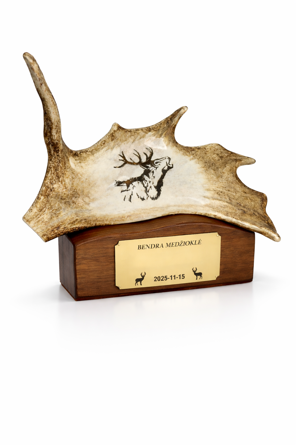 Apdovanojimas iš Rago ir Ąžuolo