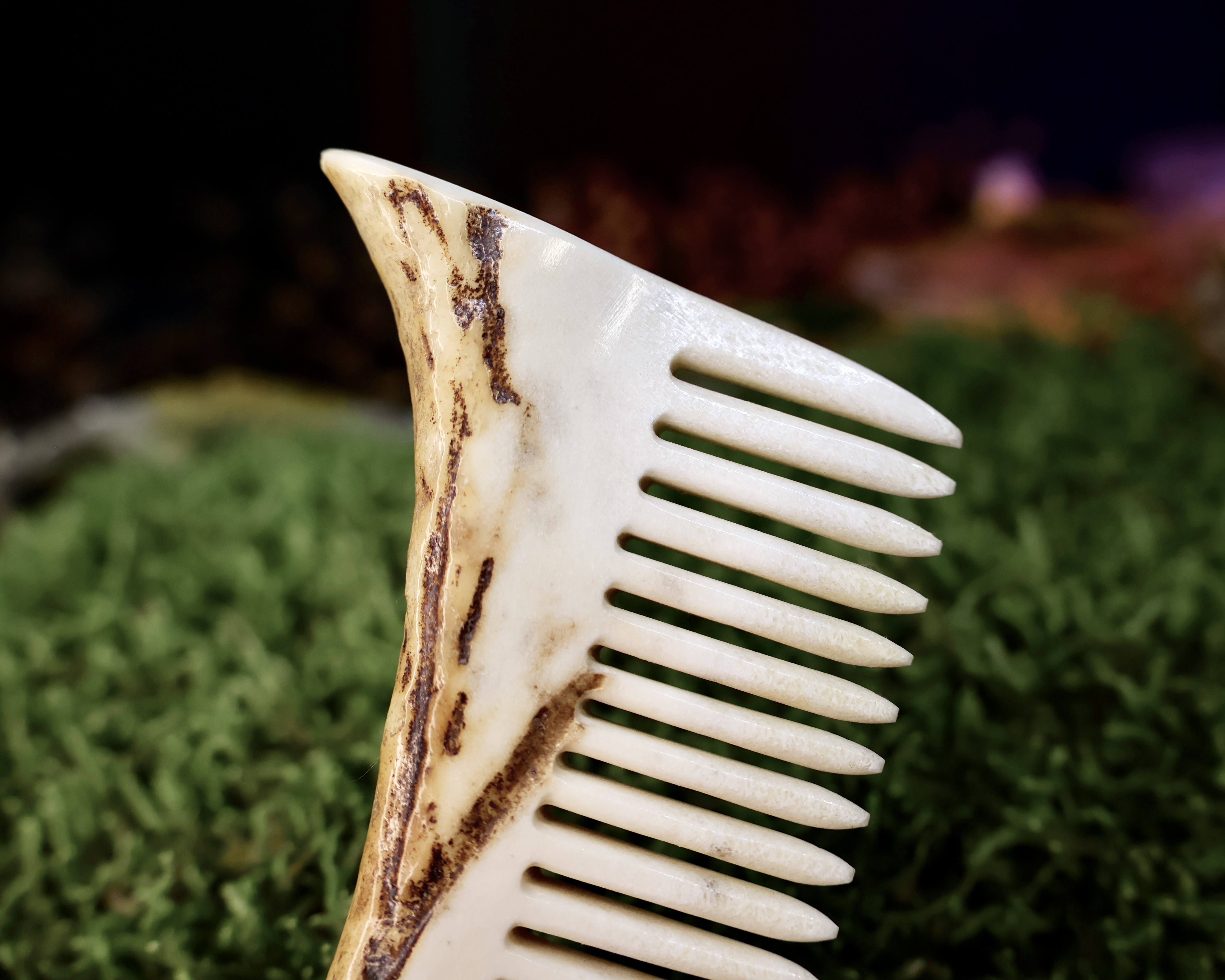 Briedžio Rago Šukos Nr.1