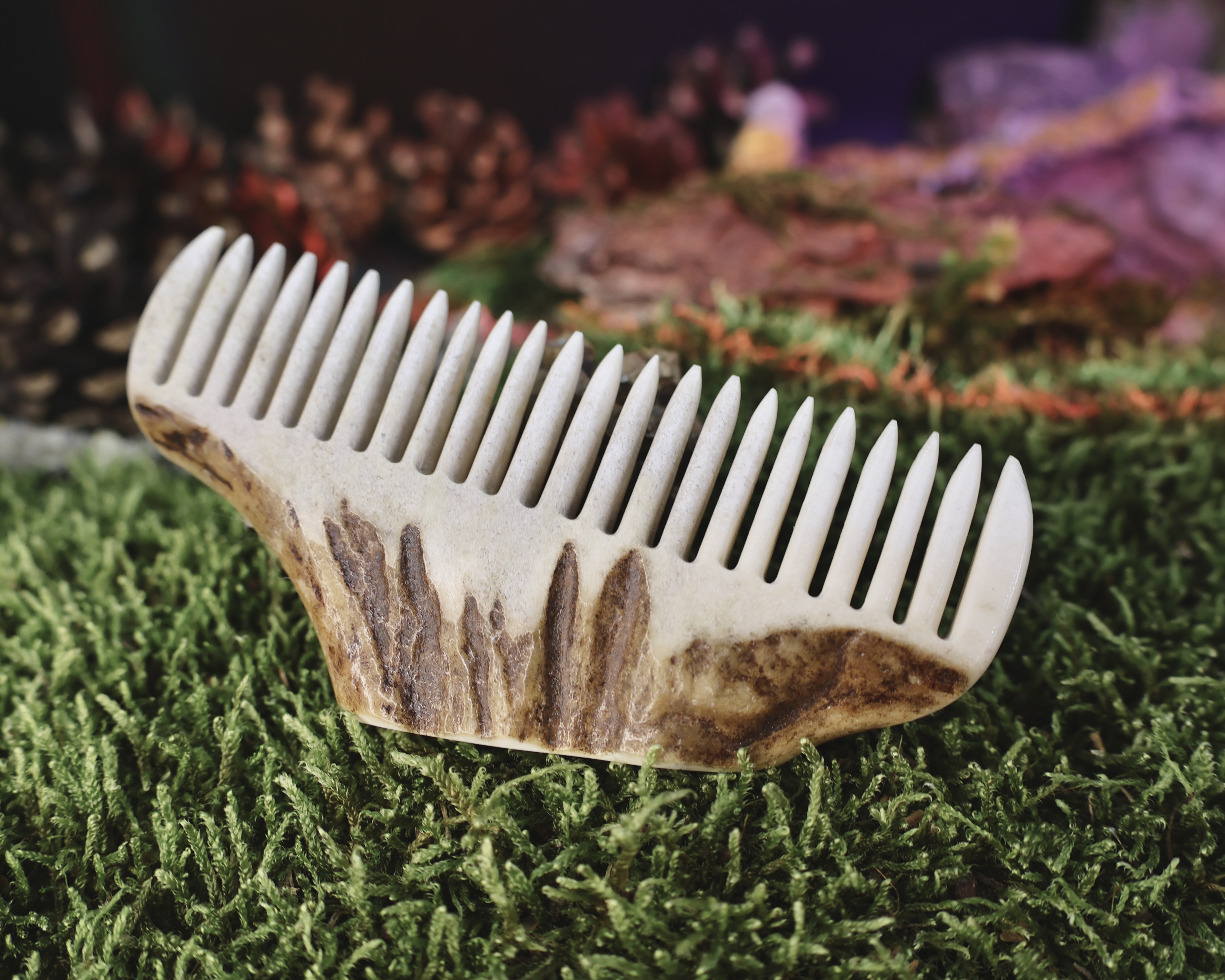 Briedžio Rago Šukos Nr.4