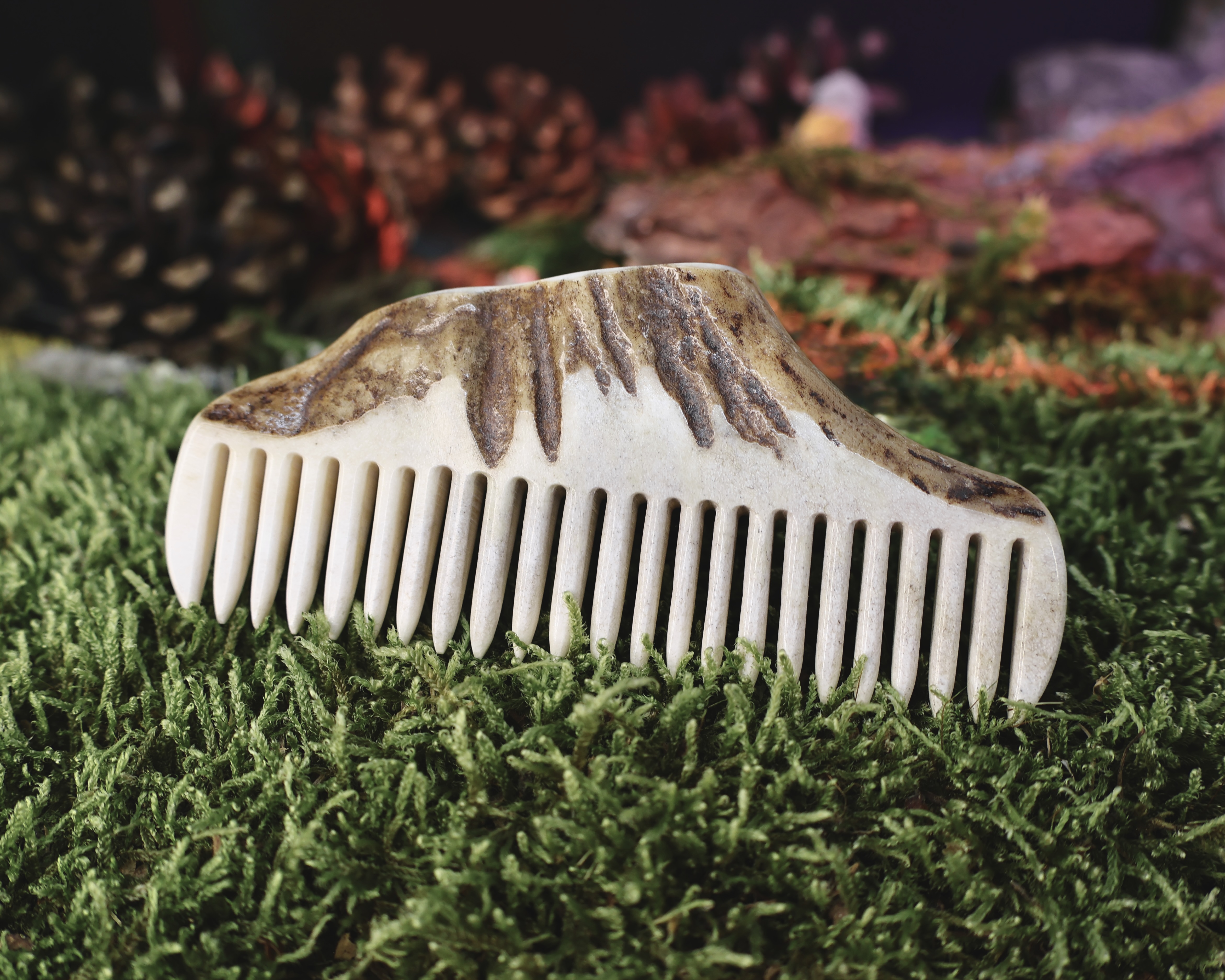 Briedžio Rago Šukos Nr.4