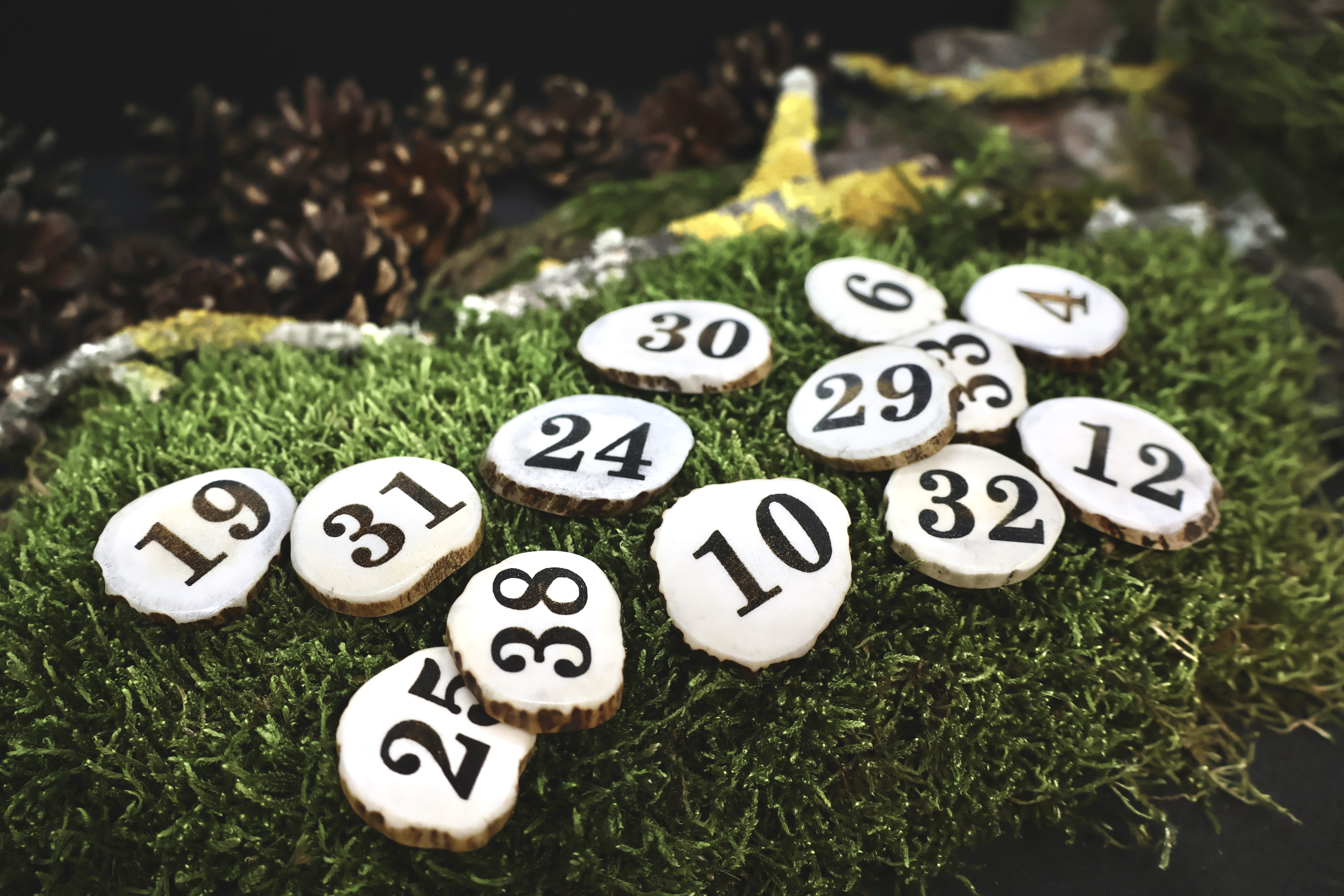 Briedžio Rago Žetonai Varominei Medžioklei 