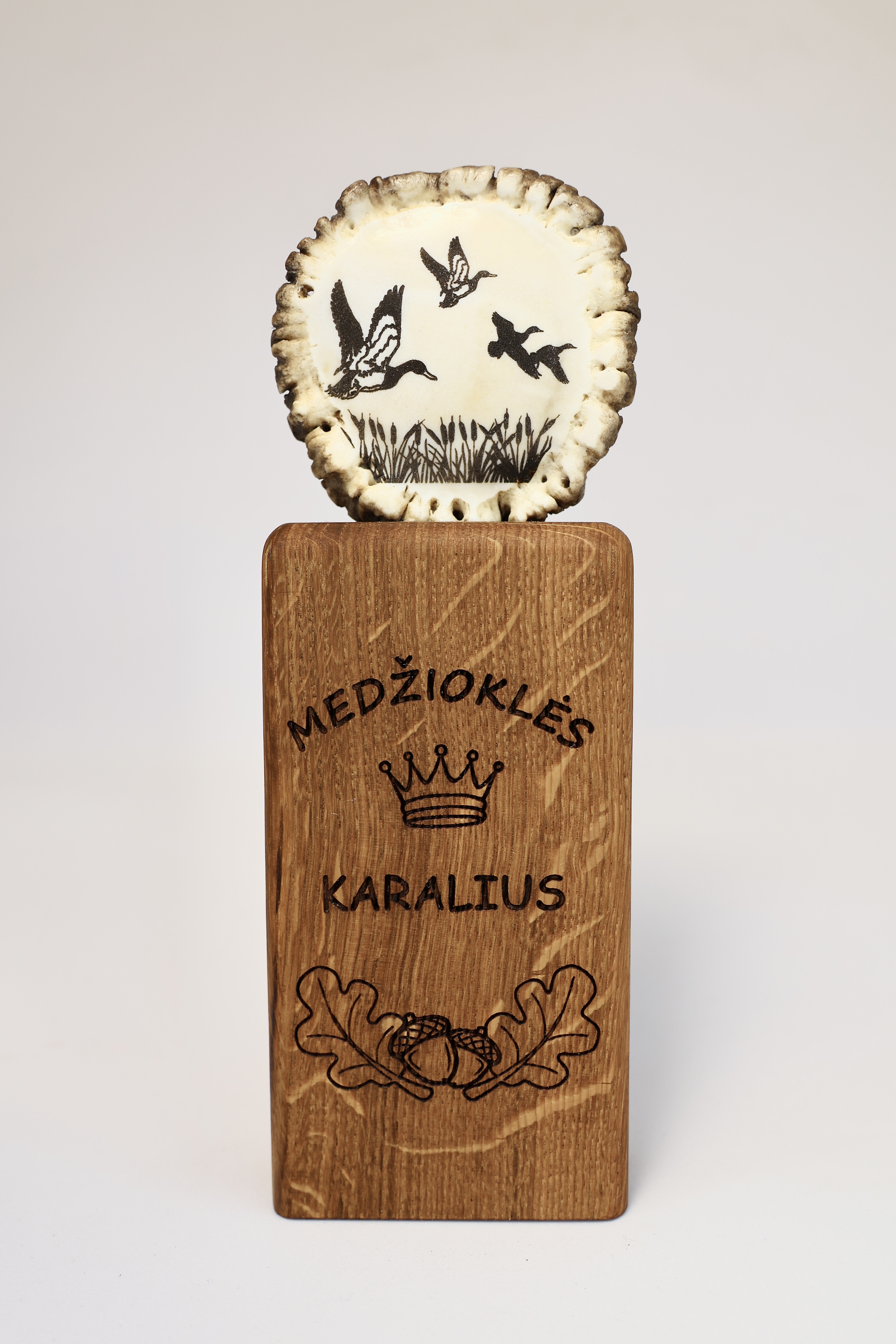 Apdovanojimas "MEDŽIOKLĖS KARALIUS" 16