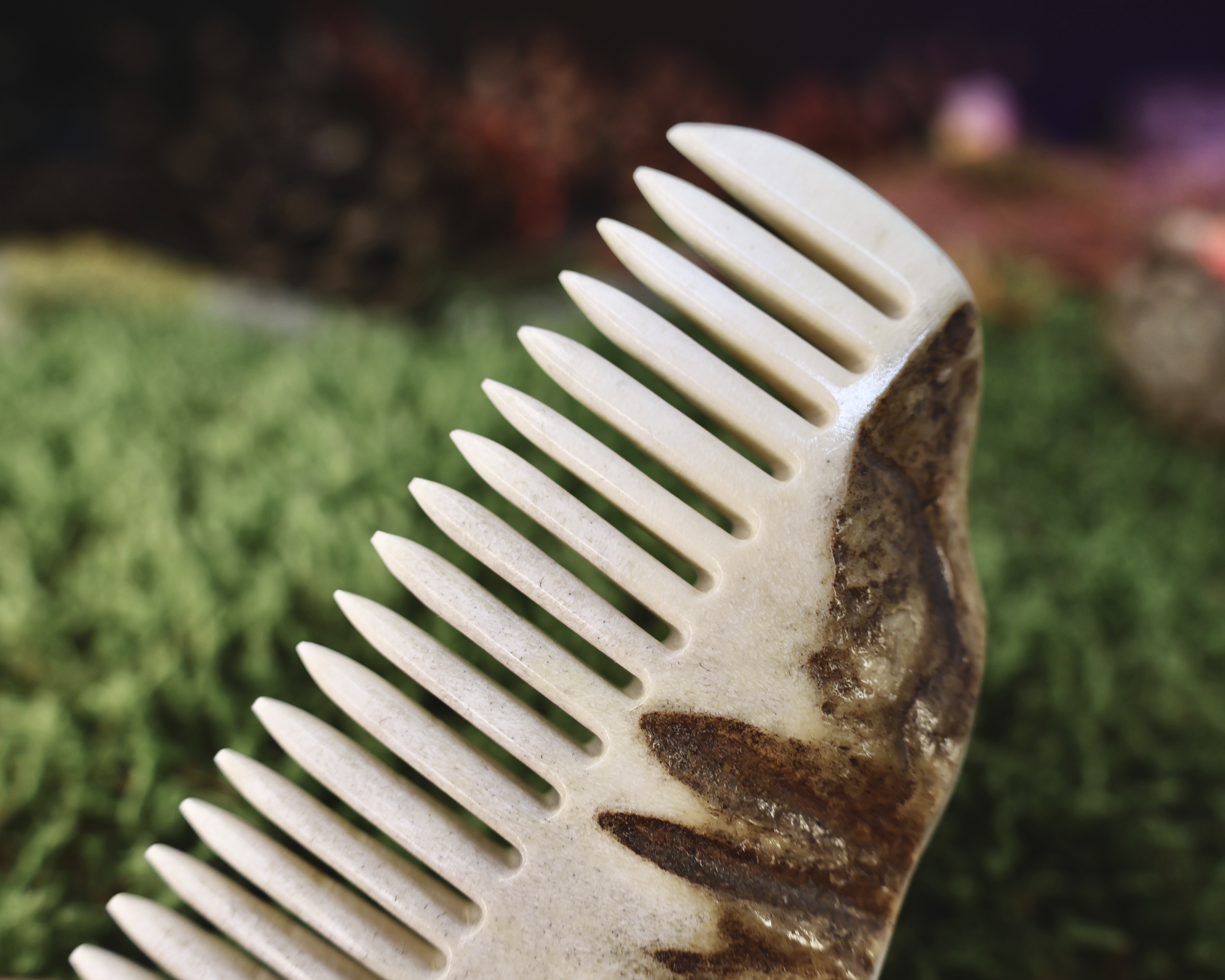 Briedžio Rago Šukos Nr.4