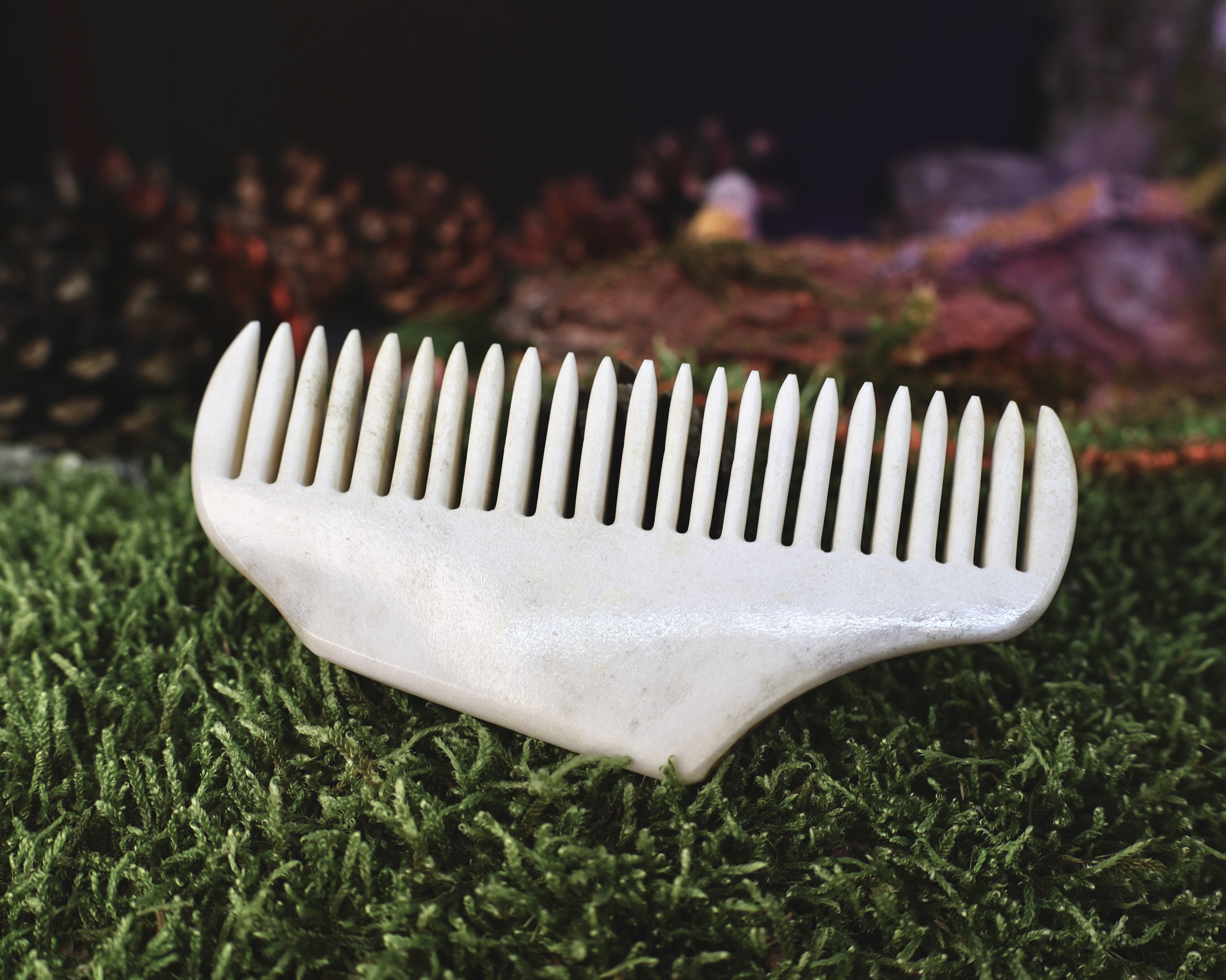 Briedžio Rago Šukos Nr.4