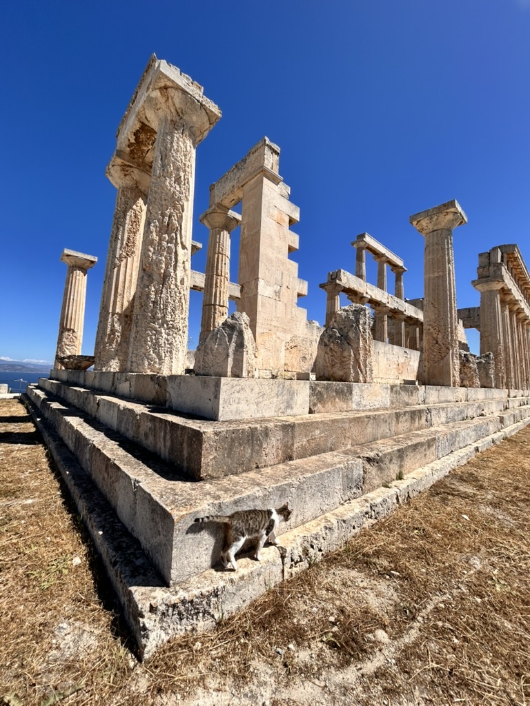 ⭐ 17–24 April 2026— Holistic Deepening Week