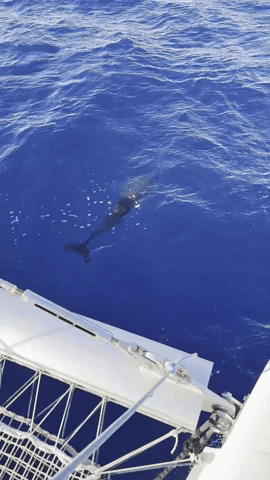 ⭐ 21–28 August 2026 — Holistic Deepening Week