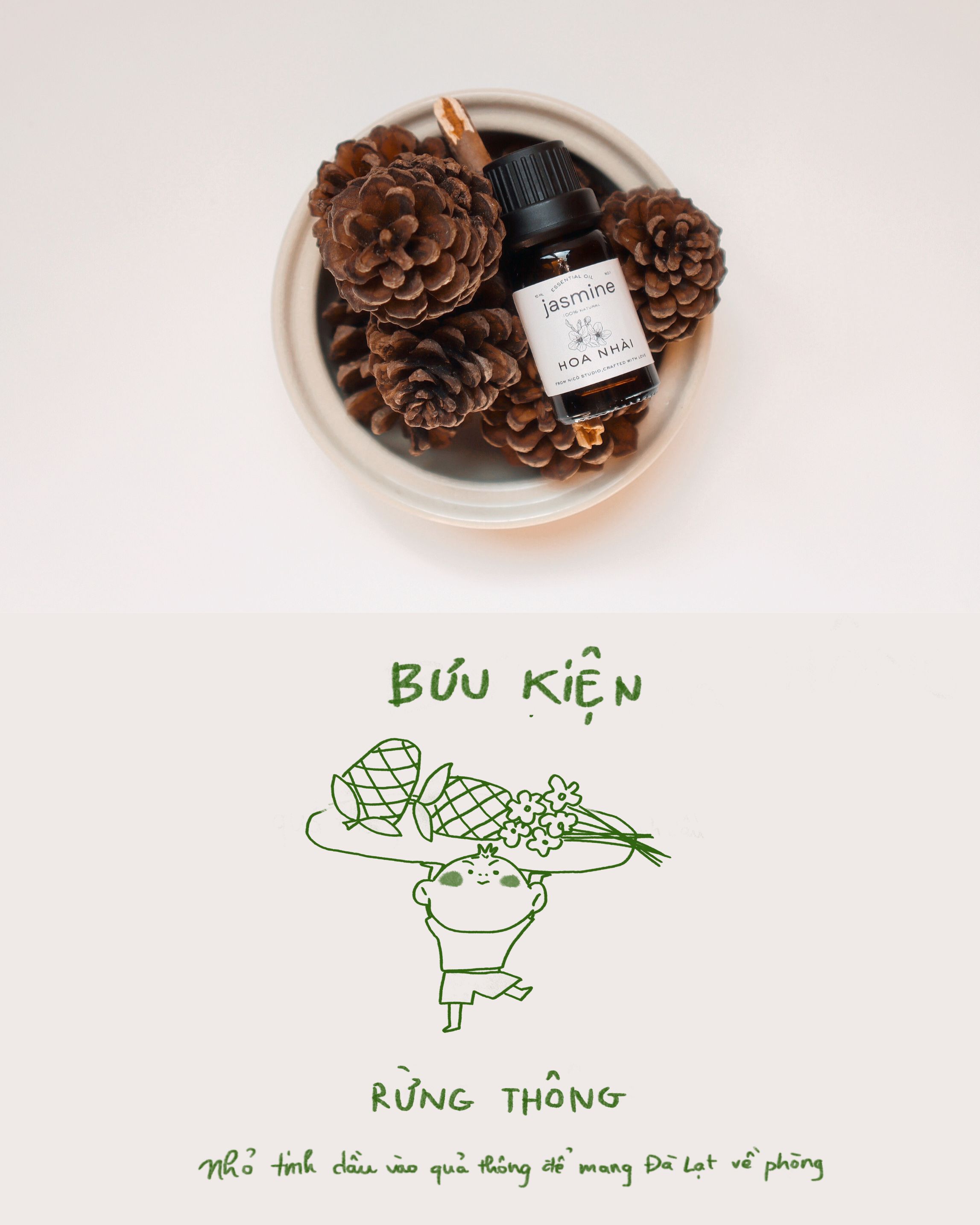 Hộp quà rừng thông