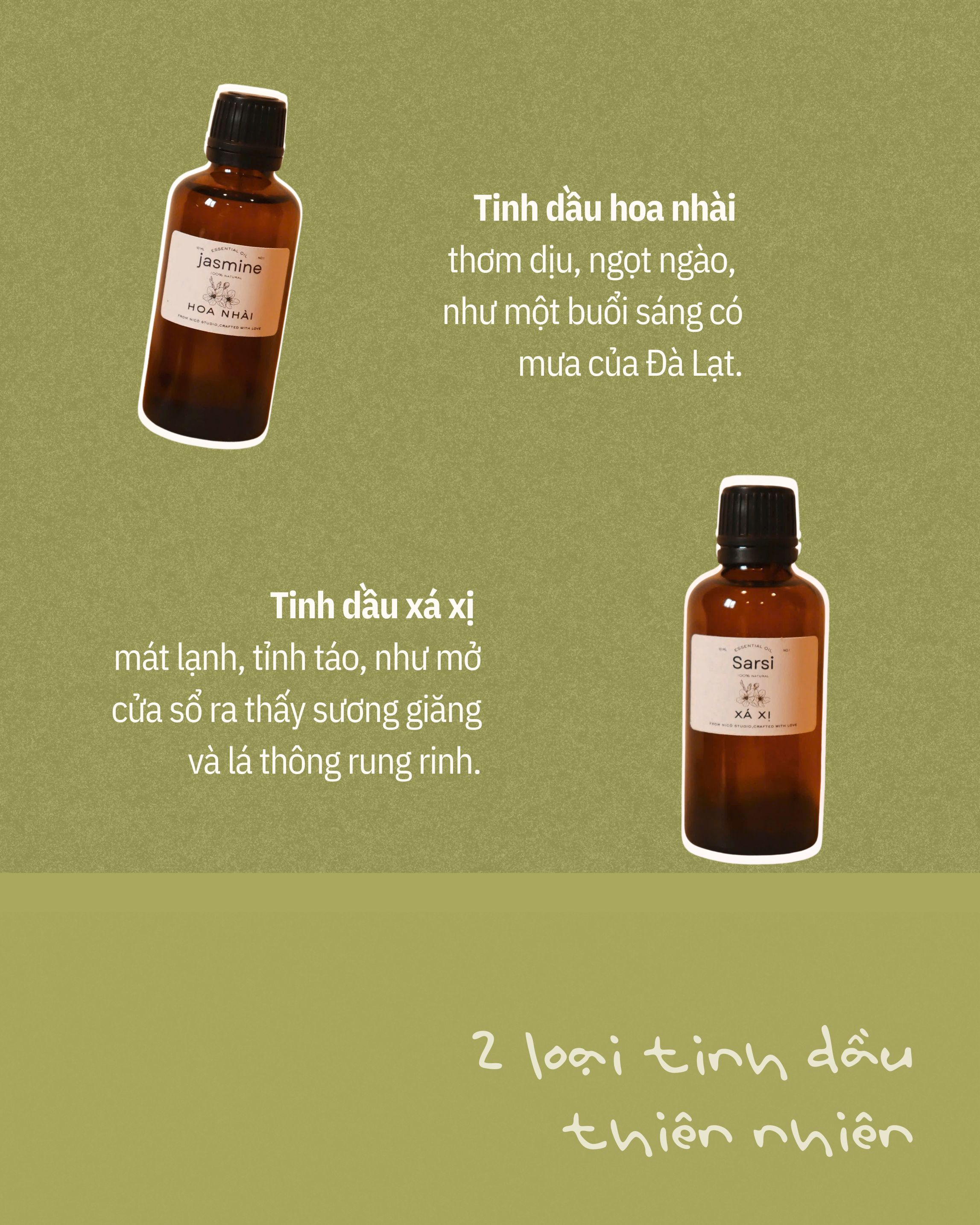 Hộp quà rừng thông