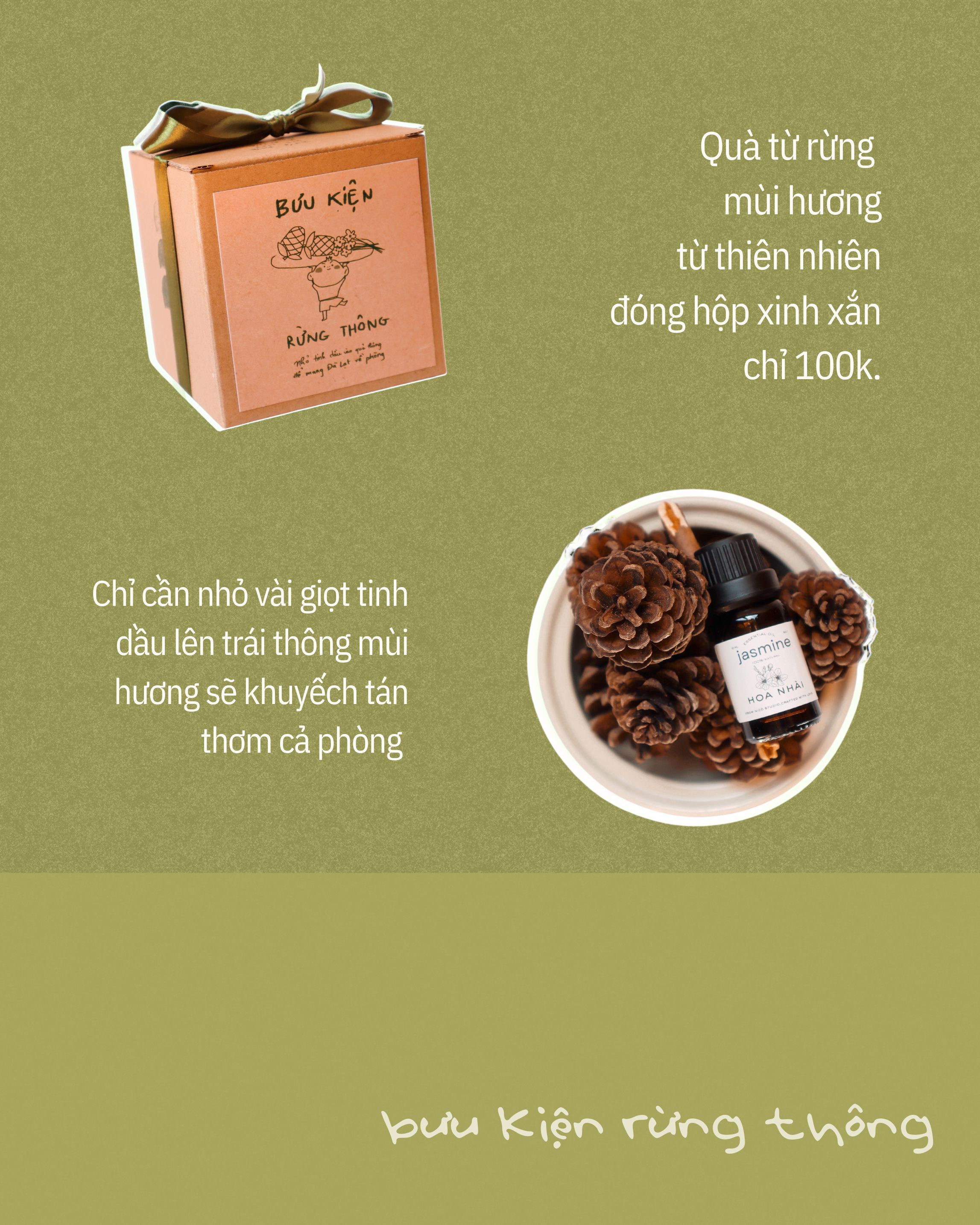 Hộp quà rừng thông