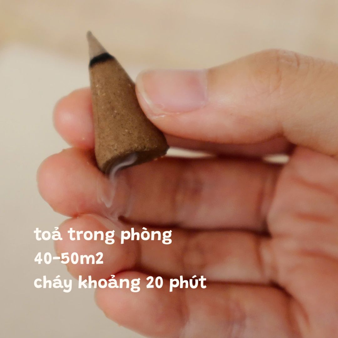Trầm nụ