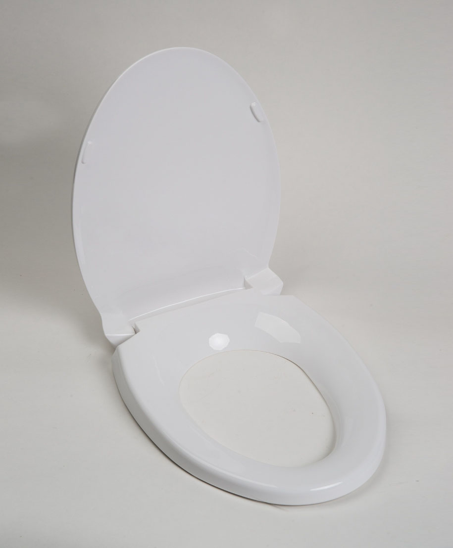 toilet seat