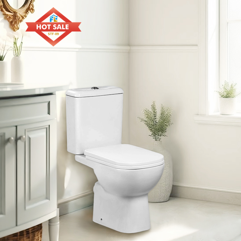 Modern Bathroom Toilet FLF-09P - Bulk Supply & Quality and Delivery Guarantee
