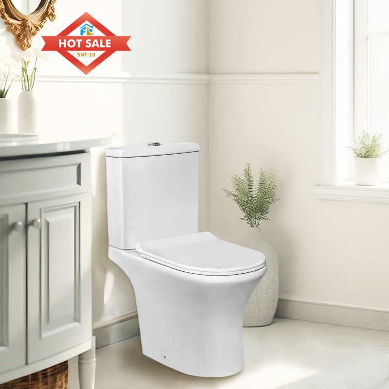FLF-10 D-type Commercial Water-Saving Toilet | 4/6L Dual Flushing | Floor-standing for Easy Installation | Customizable Projects