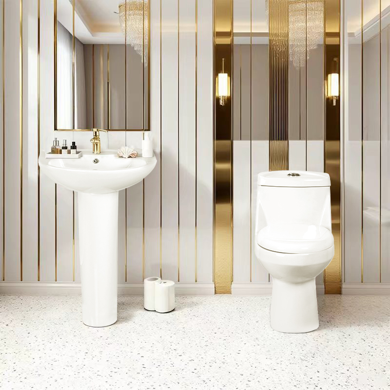 Bulk-Buy Bathroom Suite: Modern Toilet & Basin (OEM Customization Welcome) Model FLL-016 and FLP-101 combination