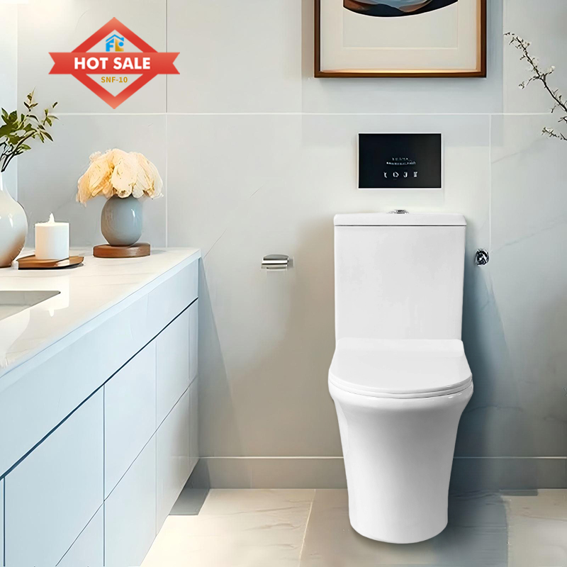 FLF-10 D-type Commercial Water-Saving Toilet | 4/6L Dual Flushing | Floor-standing for Easy Installation | Customizable Projects