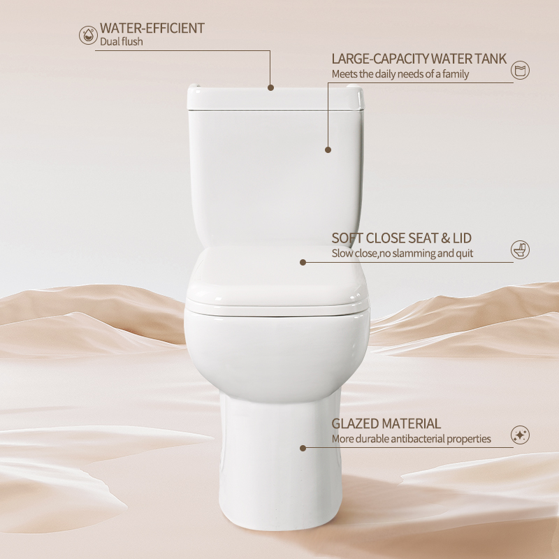 Factory Wholesale Modern P-Trap Wash Down Flushing Floor Mounted Bathroom Two Piece Ceramic Toilet with Soft Close Cover