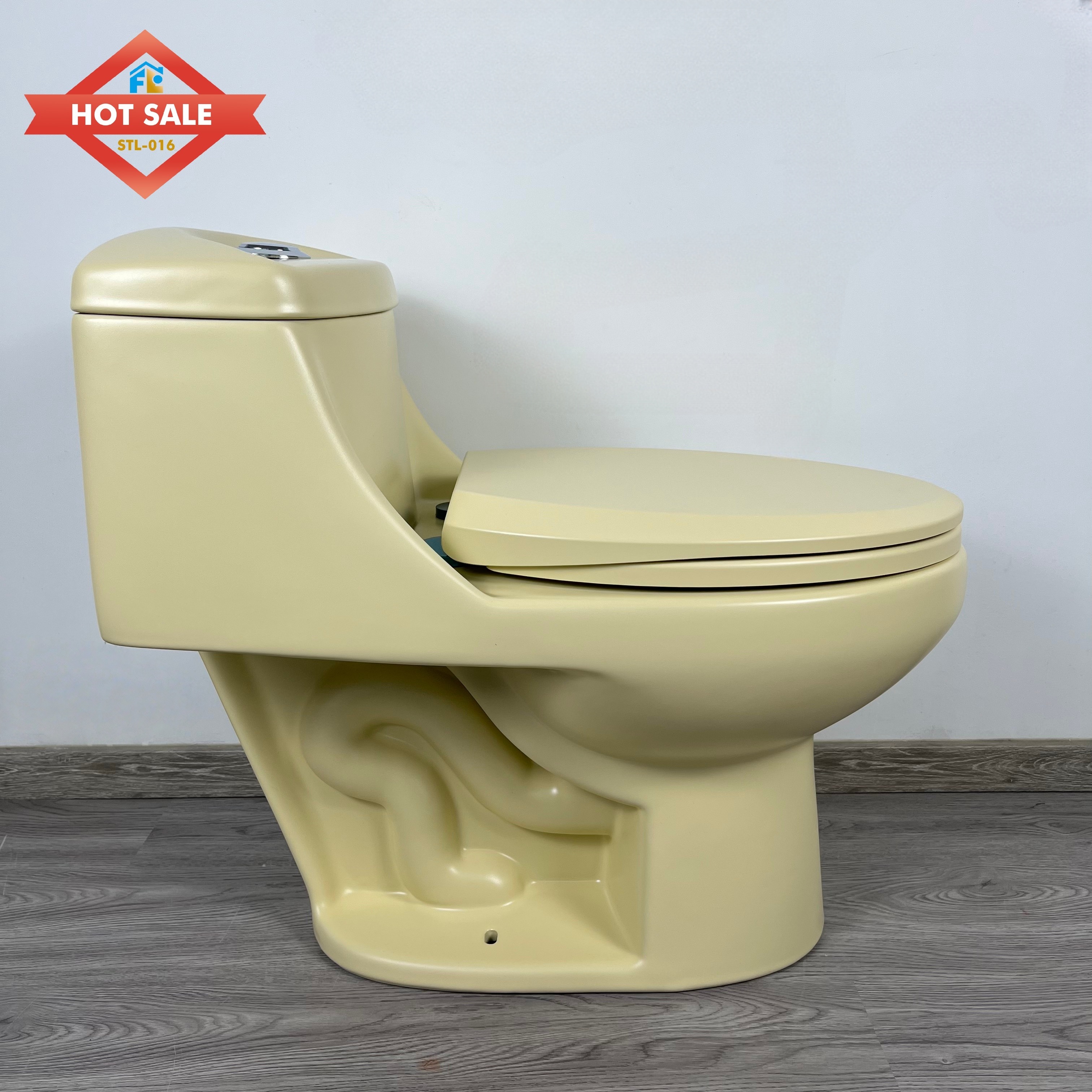 Hotel Project Modern Traditional WC One Piece Toilet Bowl Ceramic Water Closet Bathroom Washdown Flushing Toilet