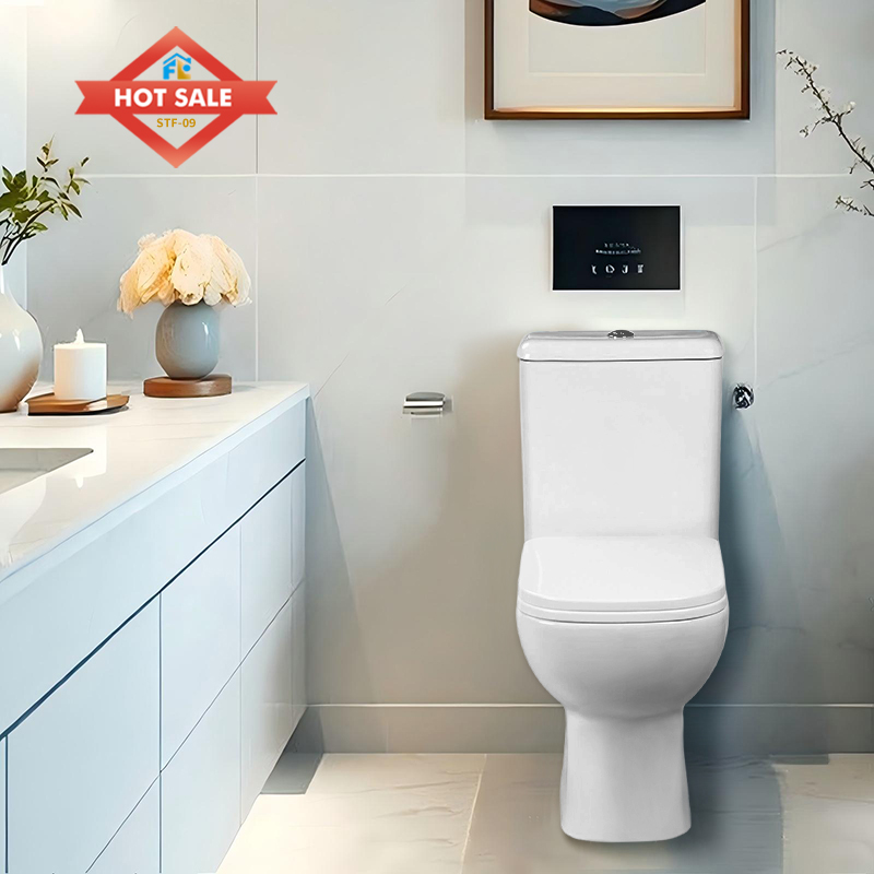 Modern Bathroom Toilet FLF-09P - Bulk Supply & Quality and Delivery Guarantee