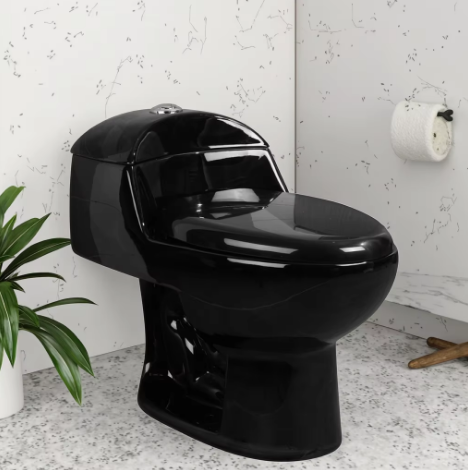 Factory Wholesale Economic Black Siphon Flushing Sanitary Ware Floor Mounted One Piece Bathroom Ceramic One Piece WC Toilet Bowl