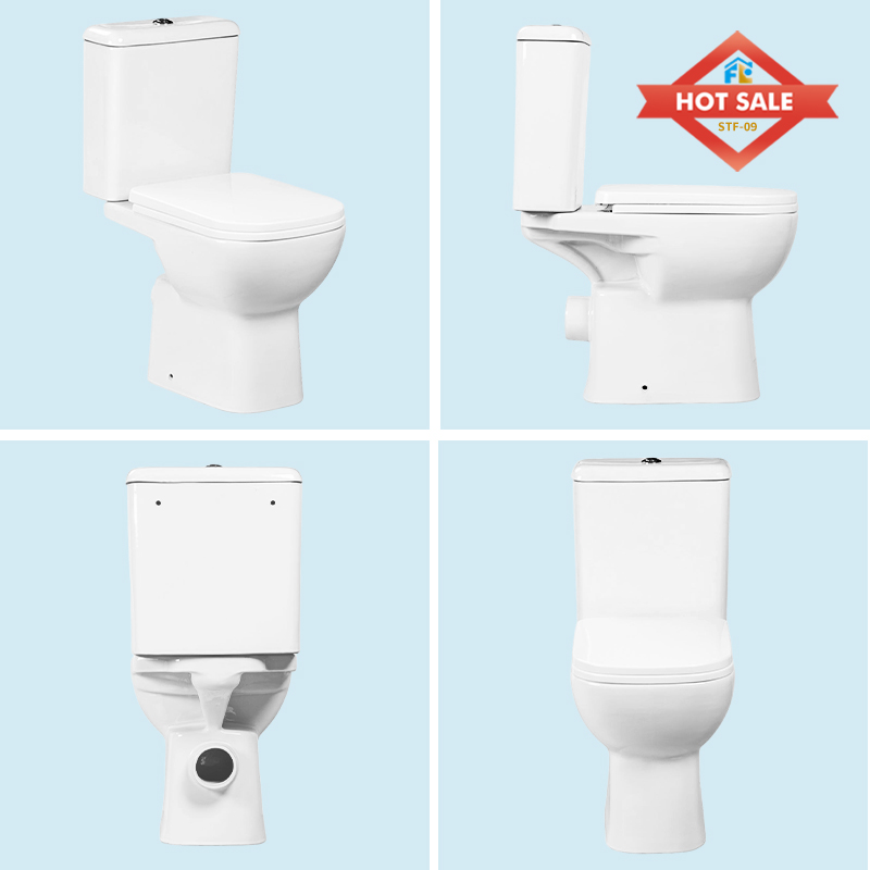 Modern Bathroom Toilet FLF-09P - Bulk Supply & Quality and Delivery Guarantee