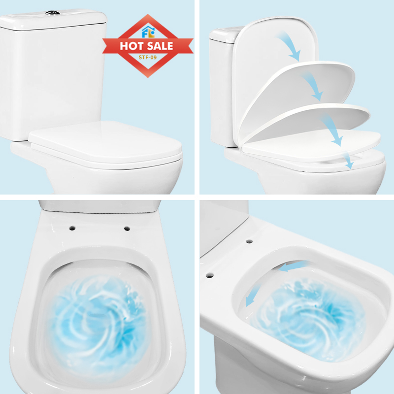 Modern Bathroom Toilet FLF-09P - Bulk Supply & Quality and Delivery Guarantee
