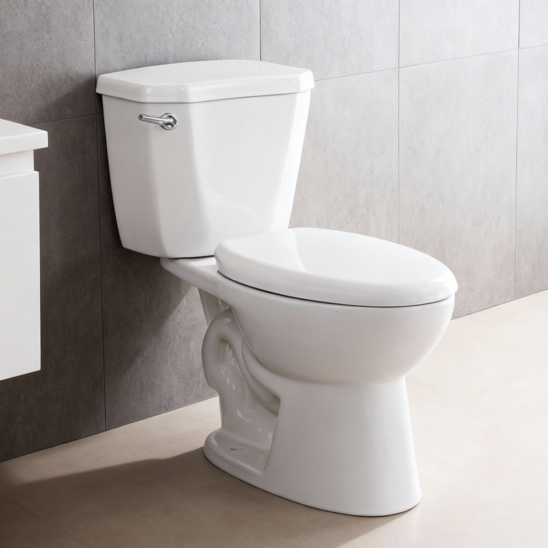 Sanitary Ware Wc Inodoros S-Trap 300mm Round Two Piece Dual Flush Siphonic Toilet